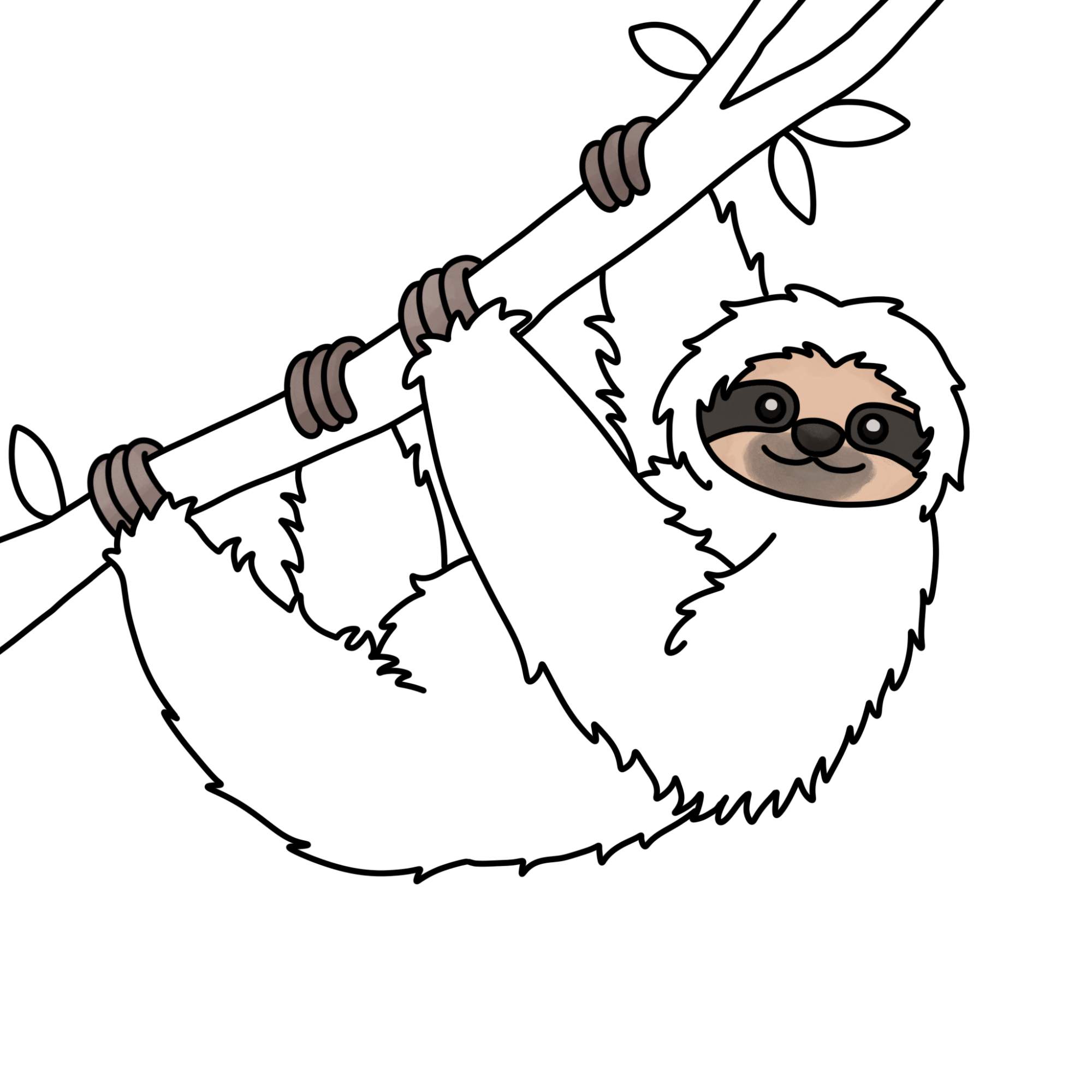 How to Draw a Sloth - Step-13