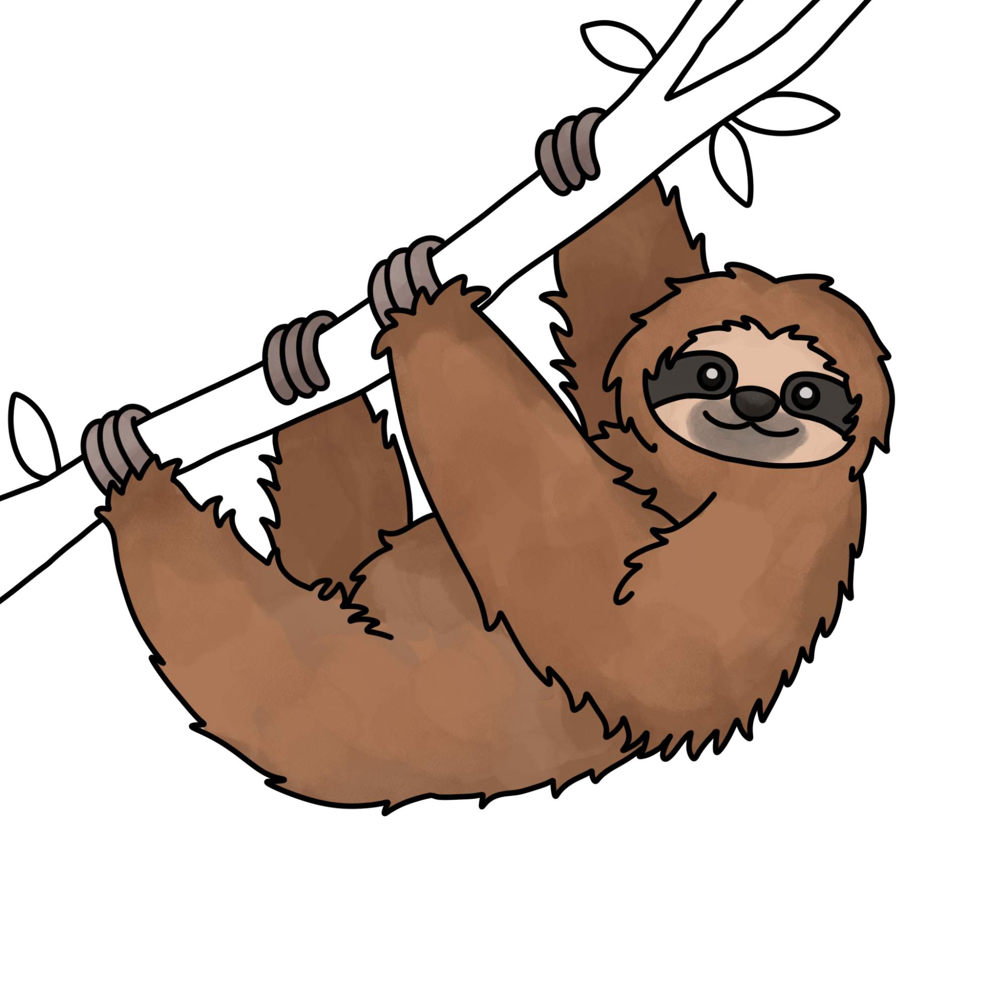 How to Draw a Sloth - Step-14