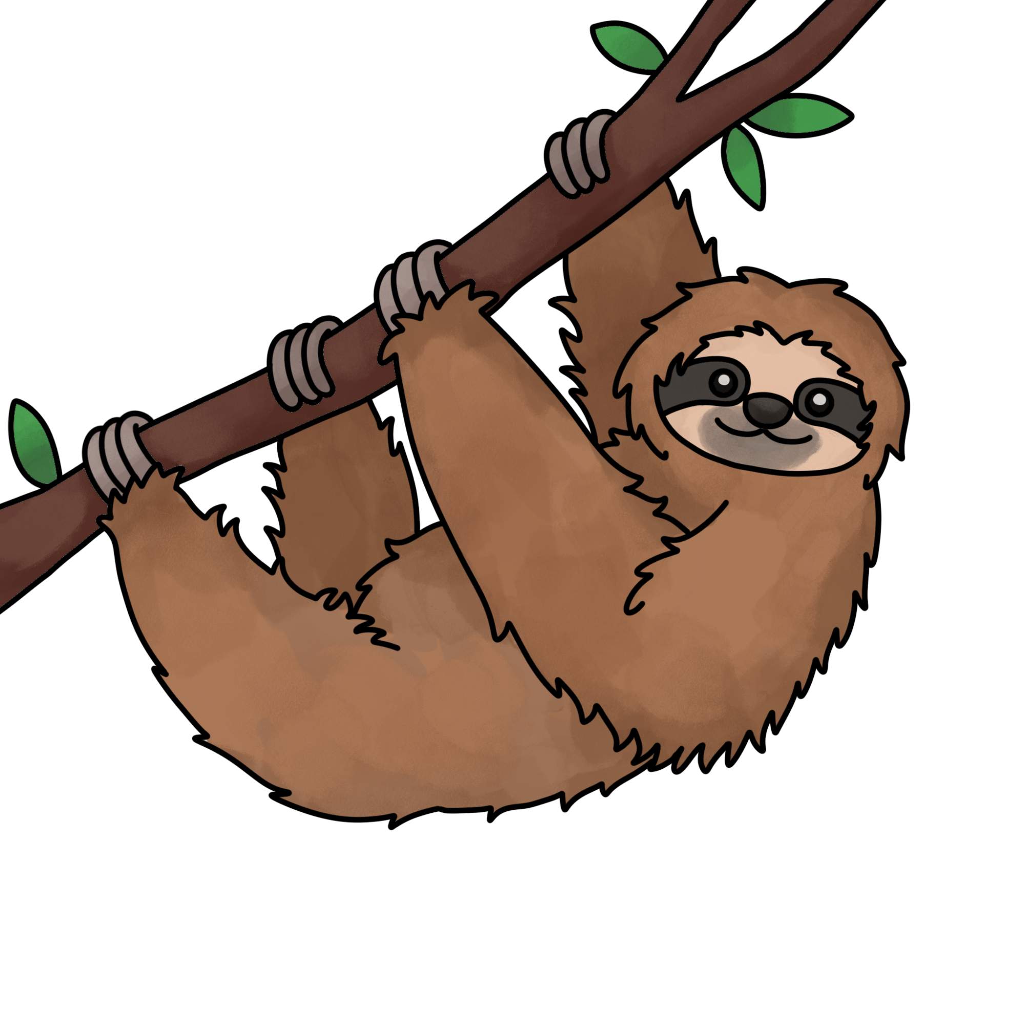 How to Draw a Sloth - Step-15