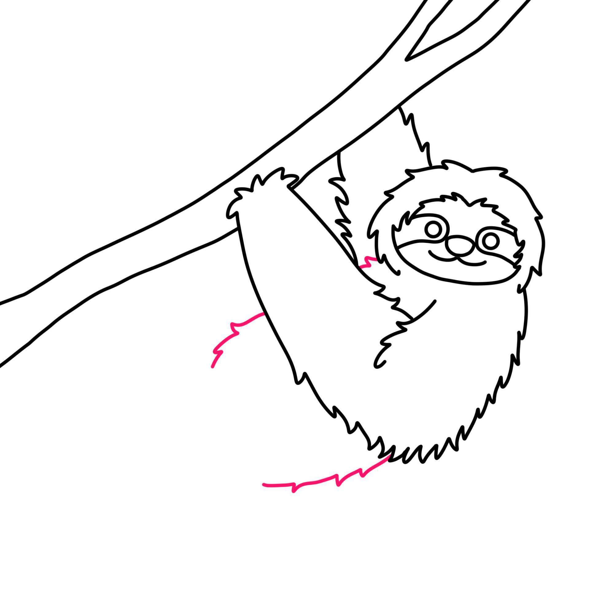 How to Draw a Sloth - Step-8