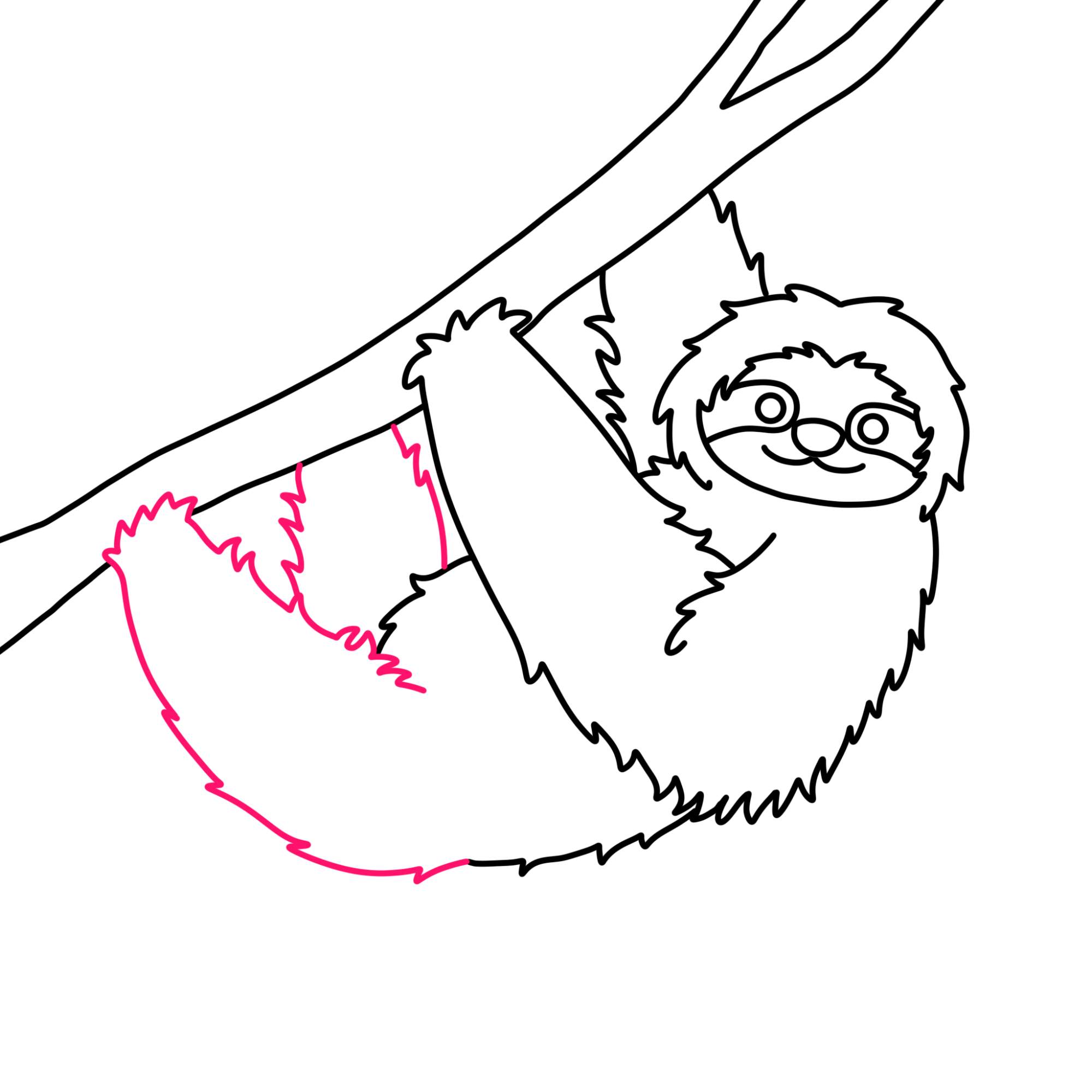 How to Draw a Sloth - Step-9