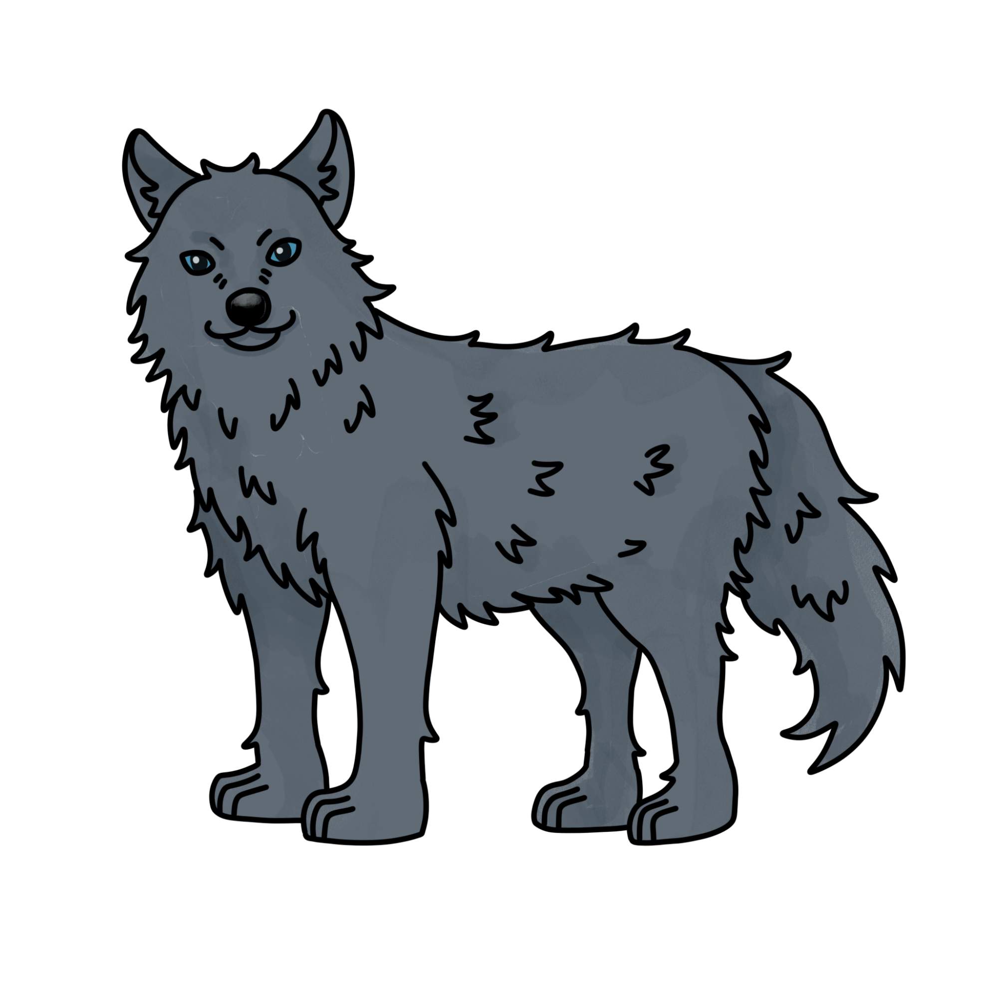 How to Draw a Wolf (easy) - Step-11