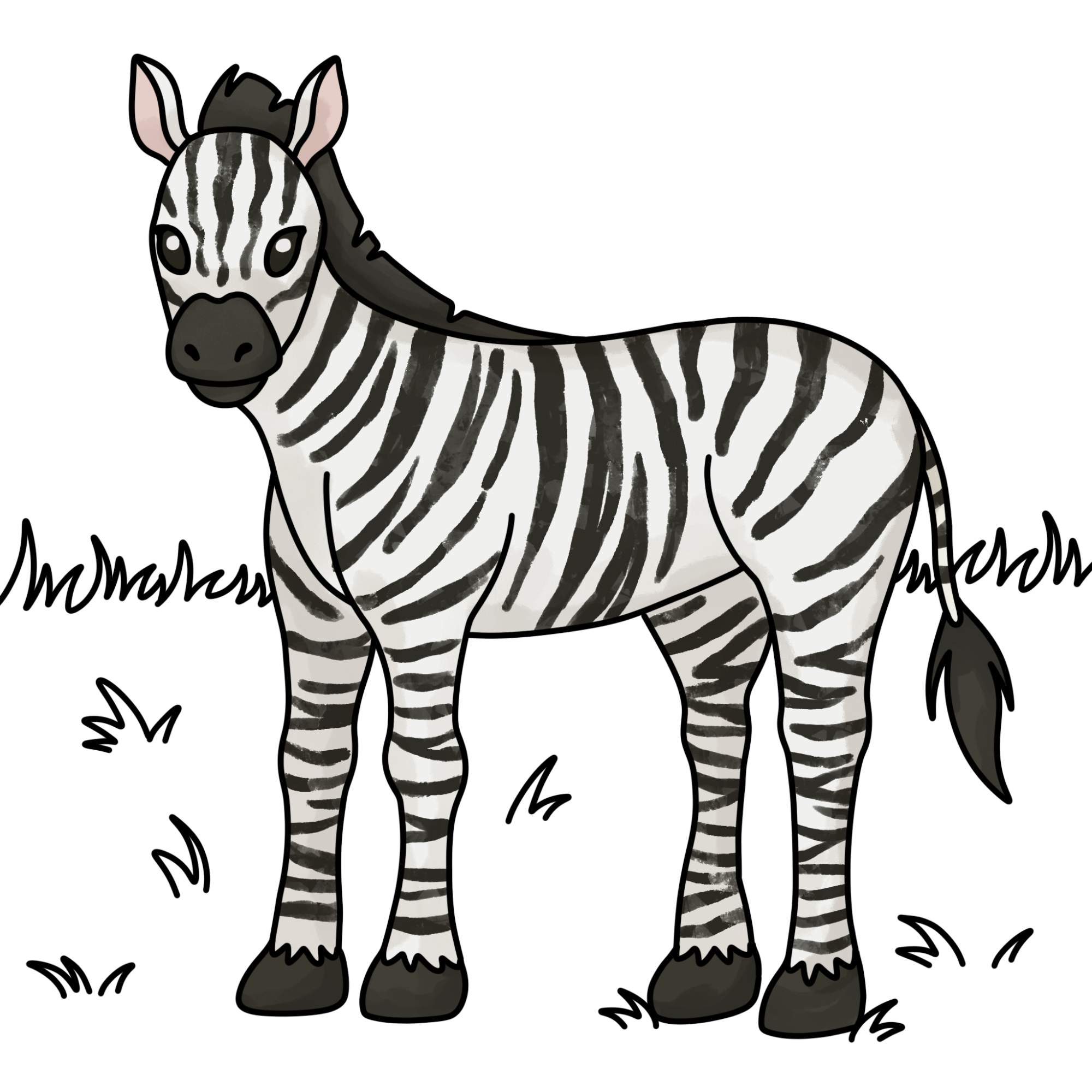 How to Draw a Zebra - Step-14