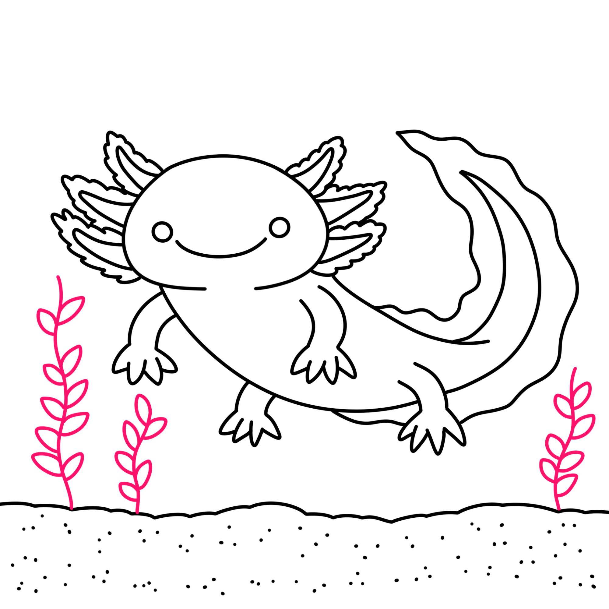 How to Draw an Axolotl - Step-10