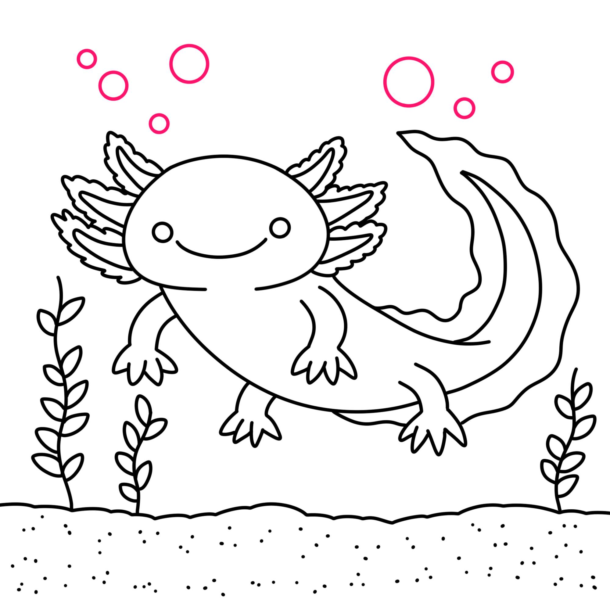 How to Draw an Axolotl - Step-11