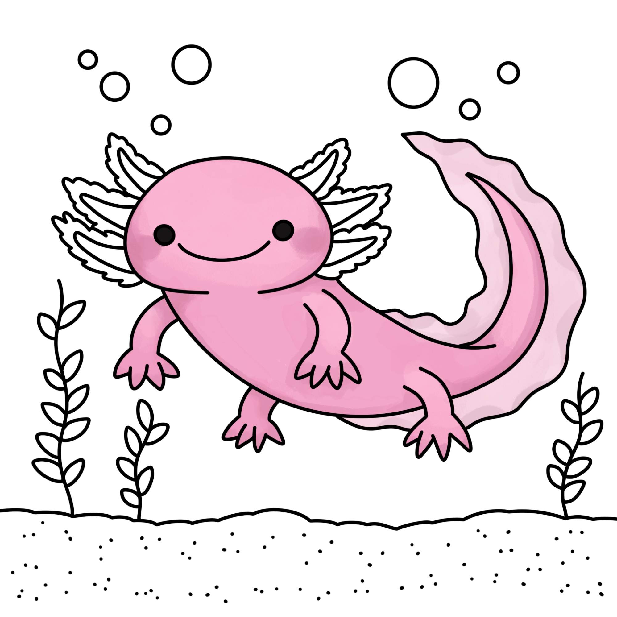 How to Draw an Axolotl - Step-12