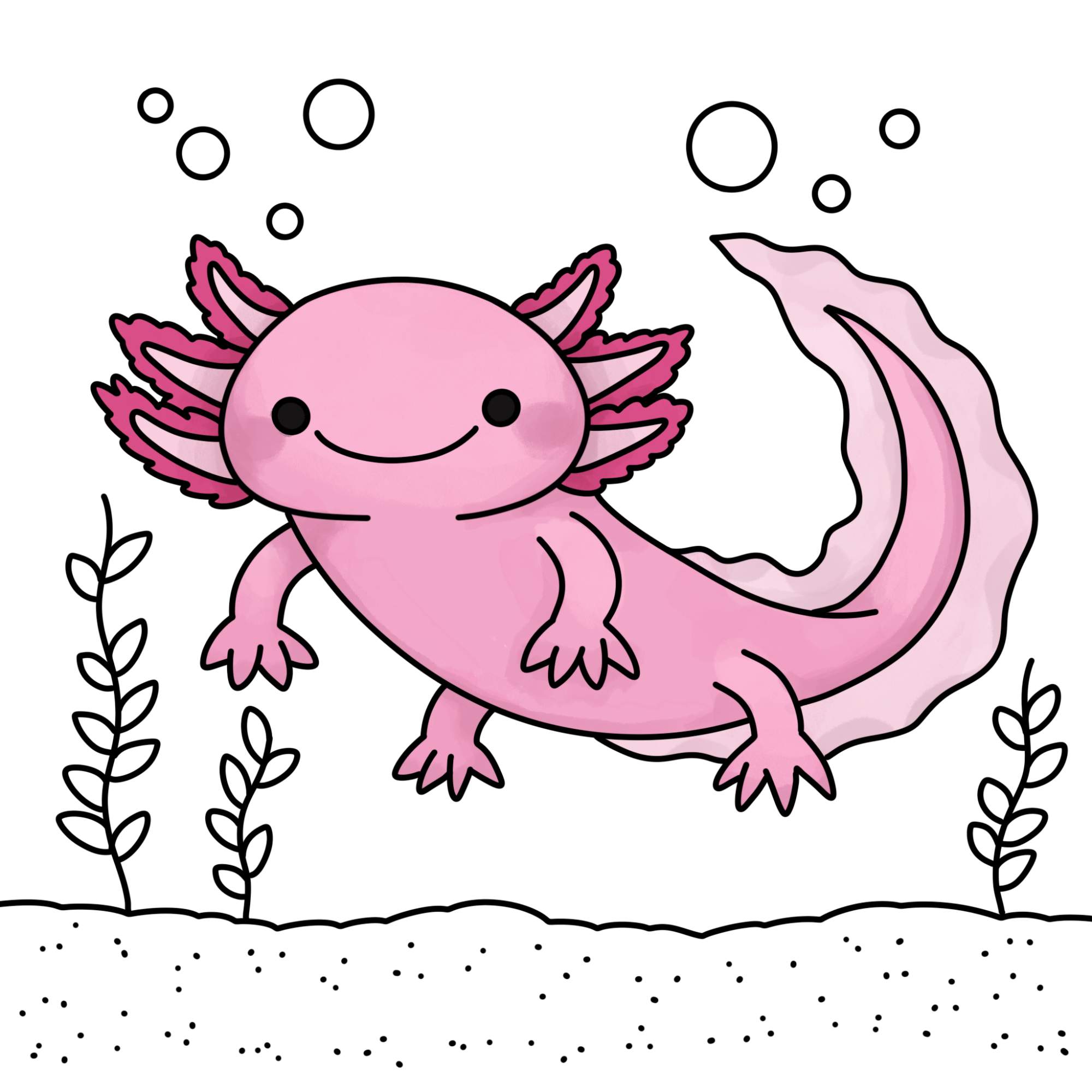 How to Draw an Axolotl - Step-13