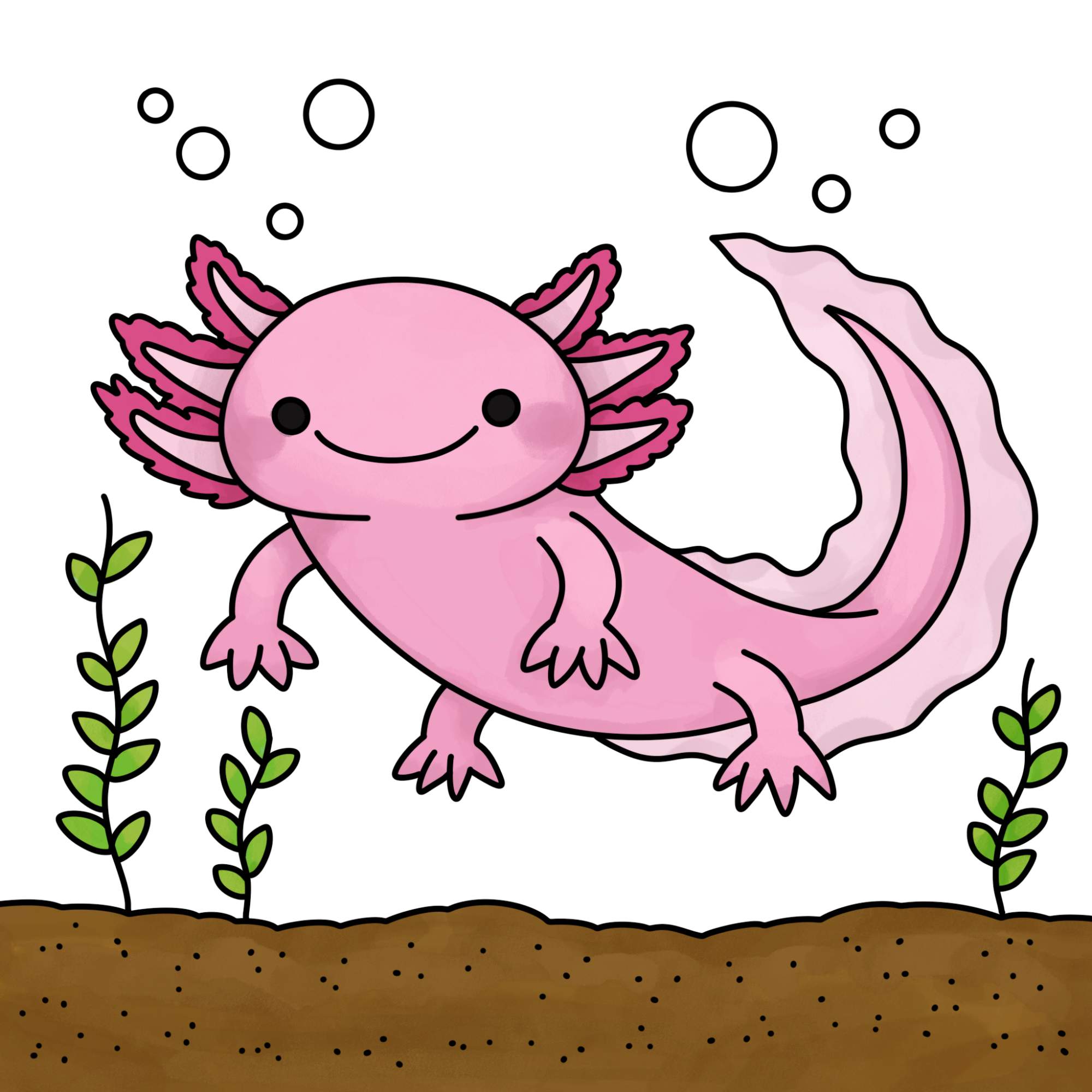 How to Draw an Axolotl - Step-14