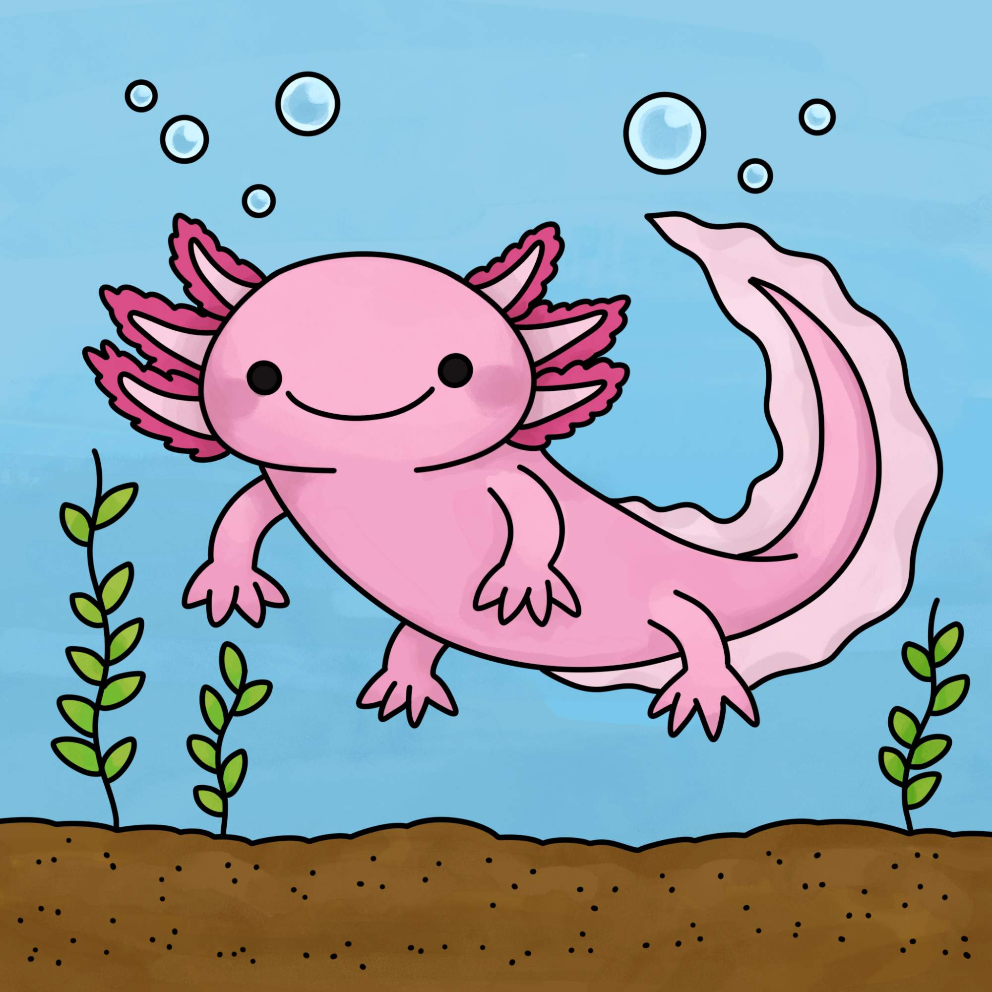 How to Draw an Axolotl - Step-15