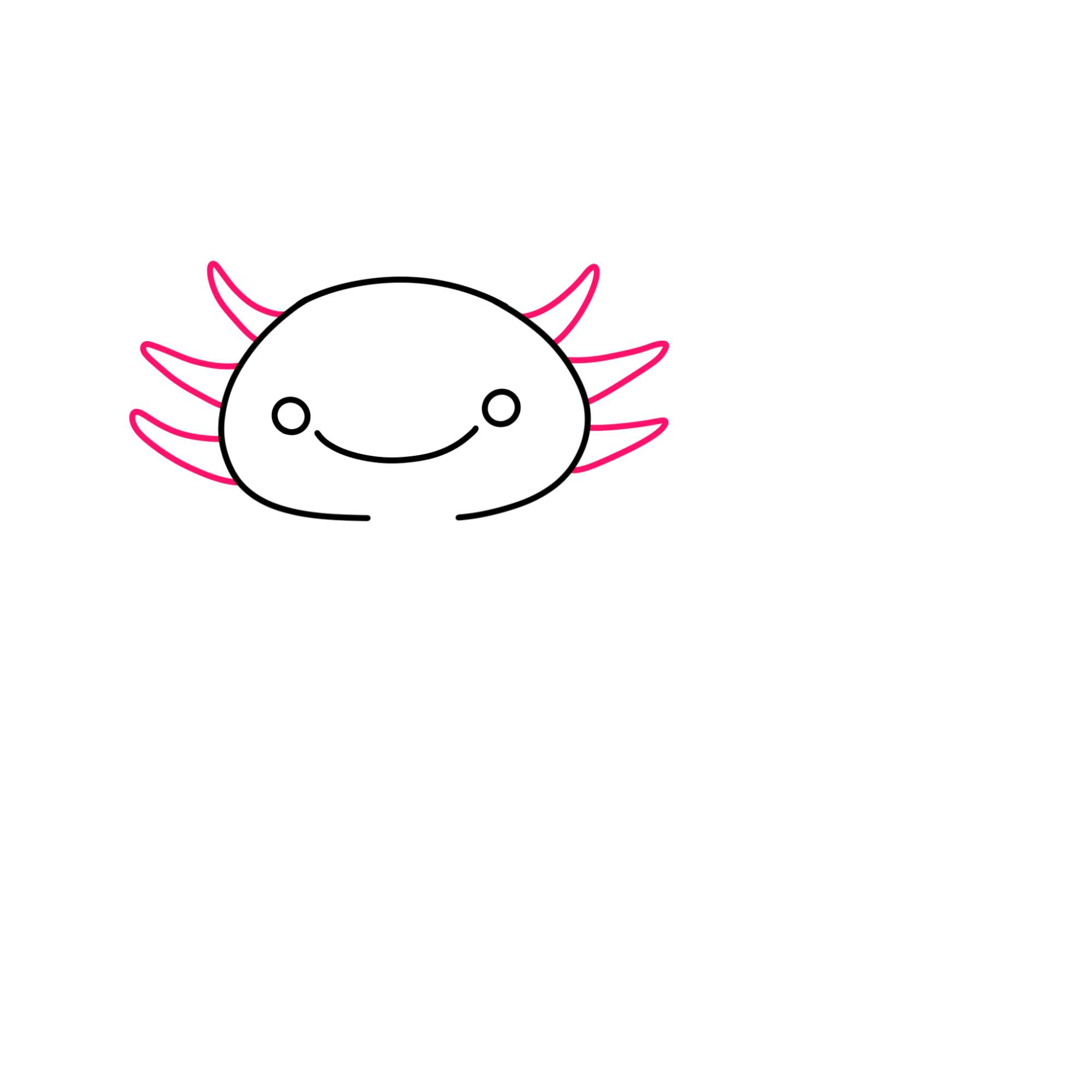 How to Draw an Axolotl - Step-3