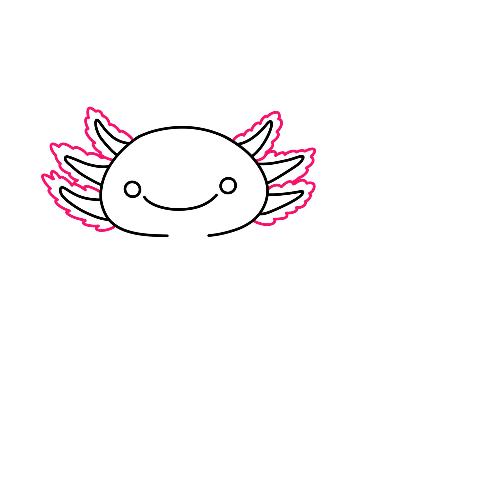 How to Draw an Axolotl - Step-4