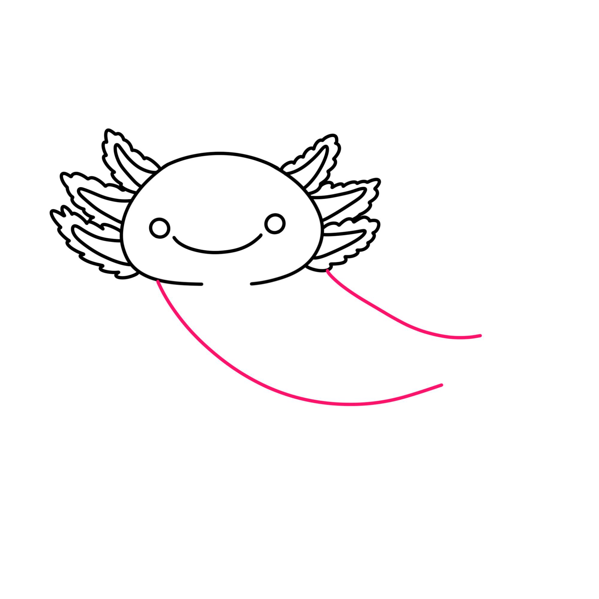 How to Draw an Axolotl - Step-5