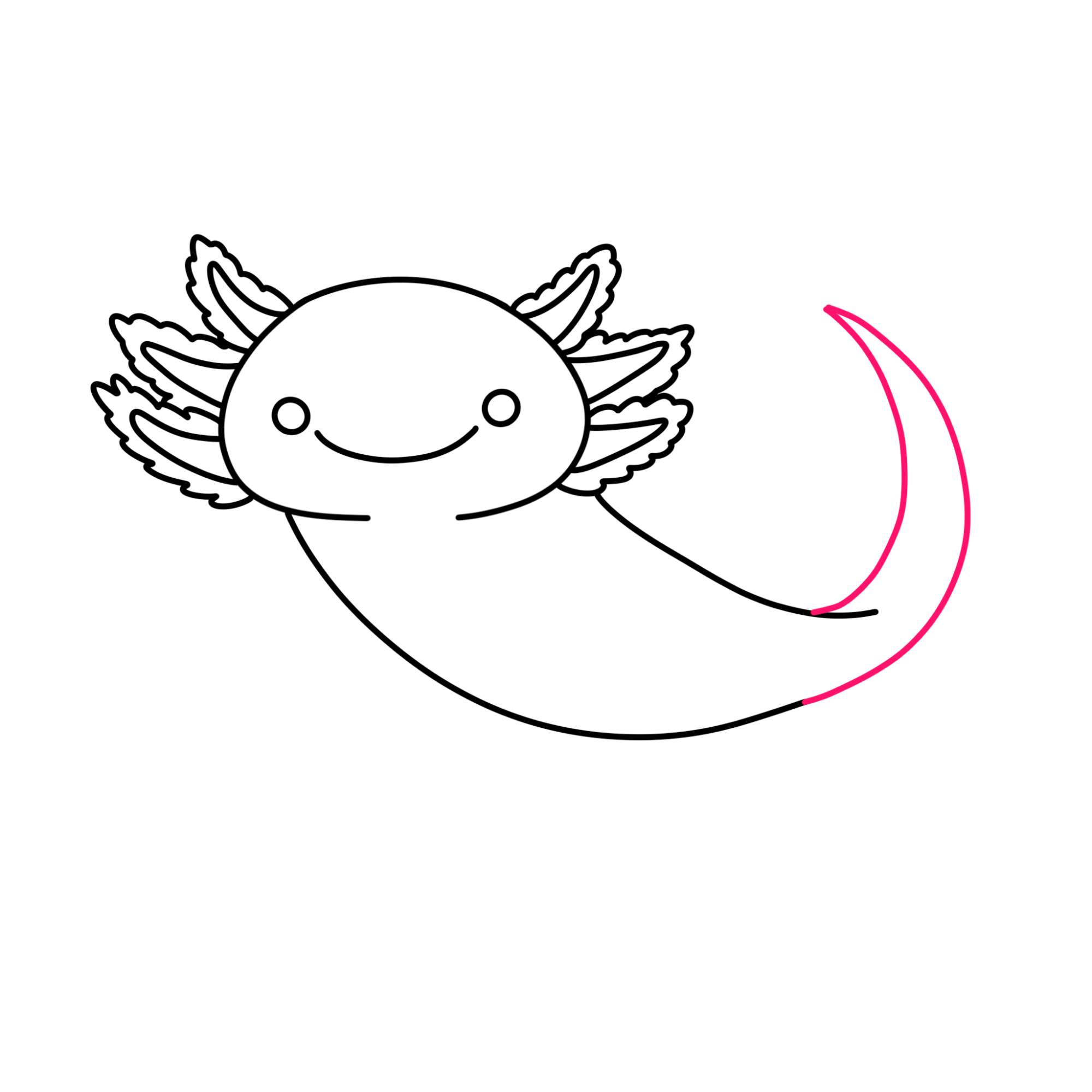 How to Draw an Axolotl - Step-6