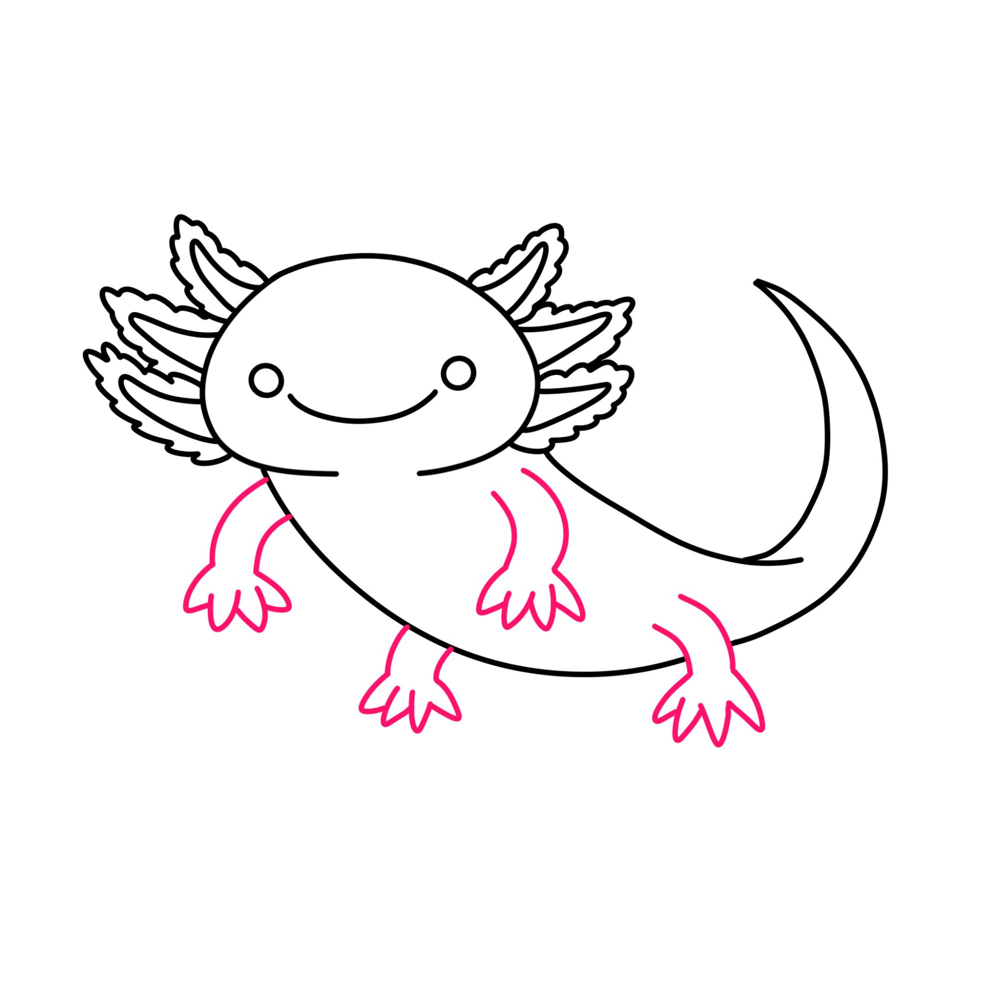 How to Draw an Axolotl - Step-7