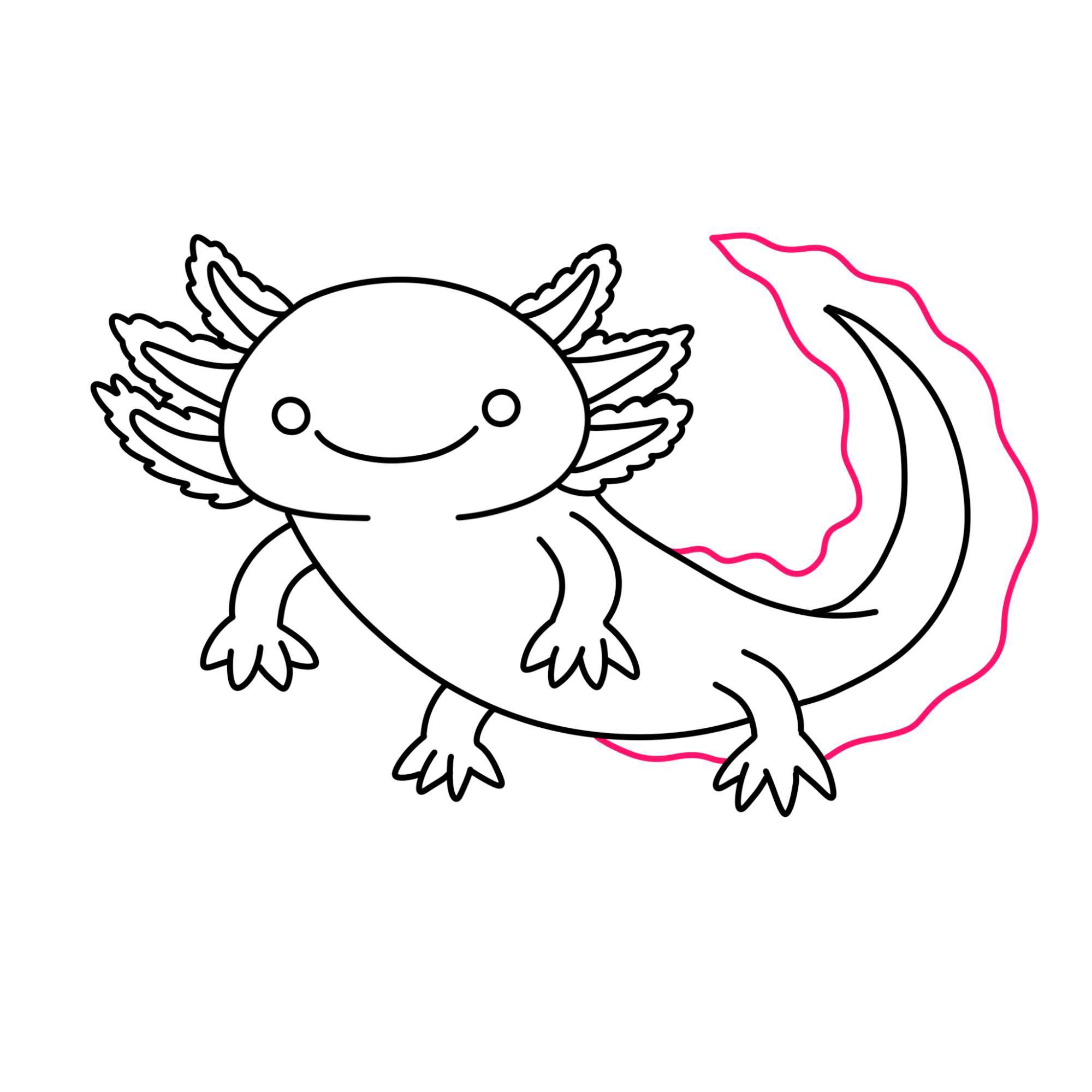 How to Draw an Axolotl - Step-8