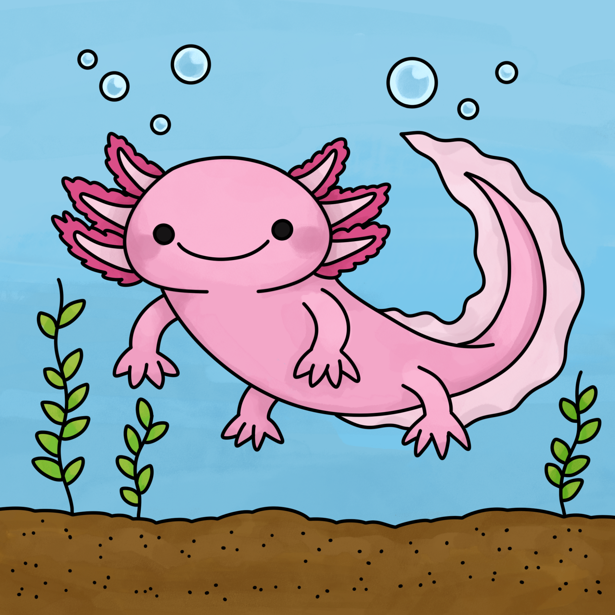 How to Draw an Axolotl