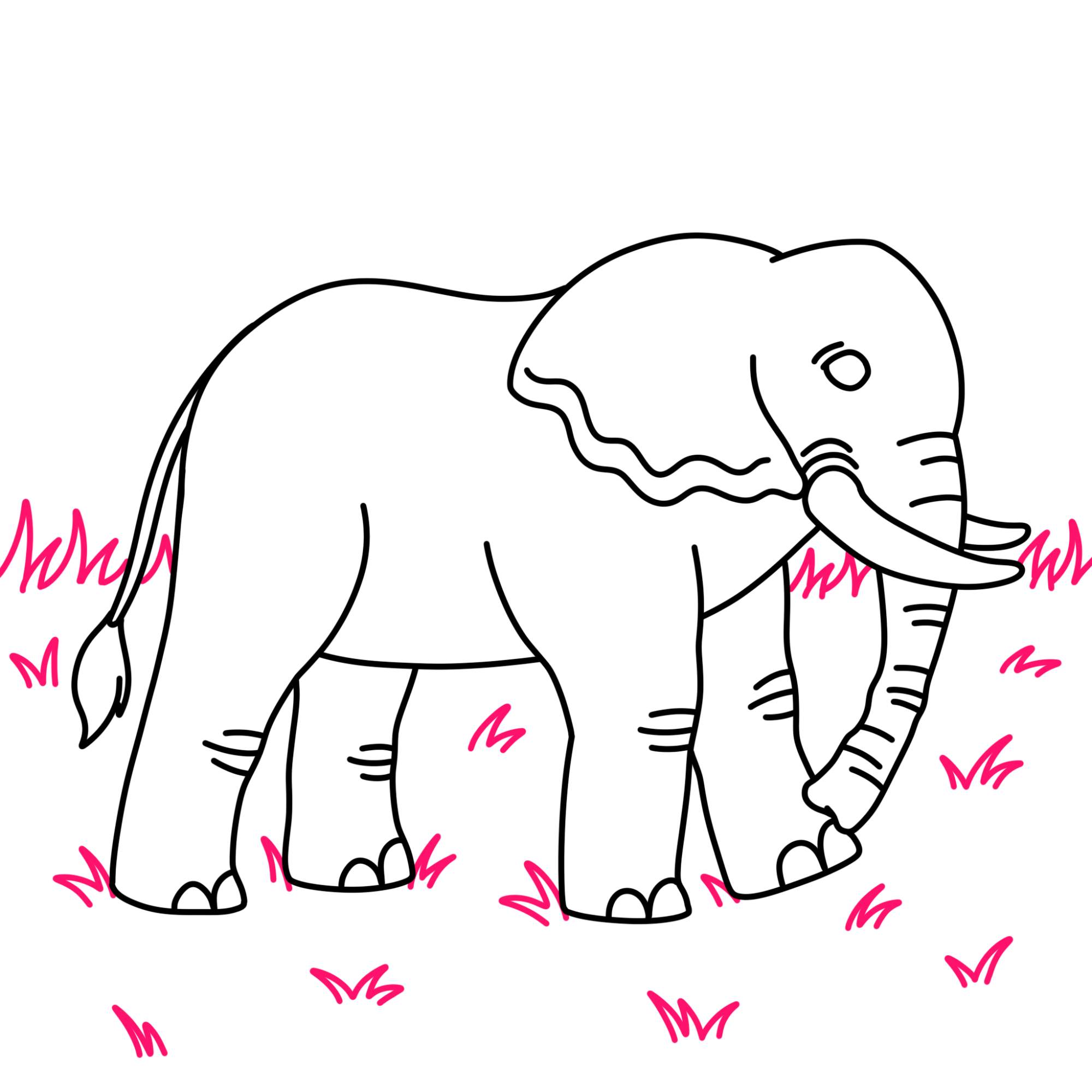 How to Draw an Elephant - Step-10