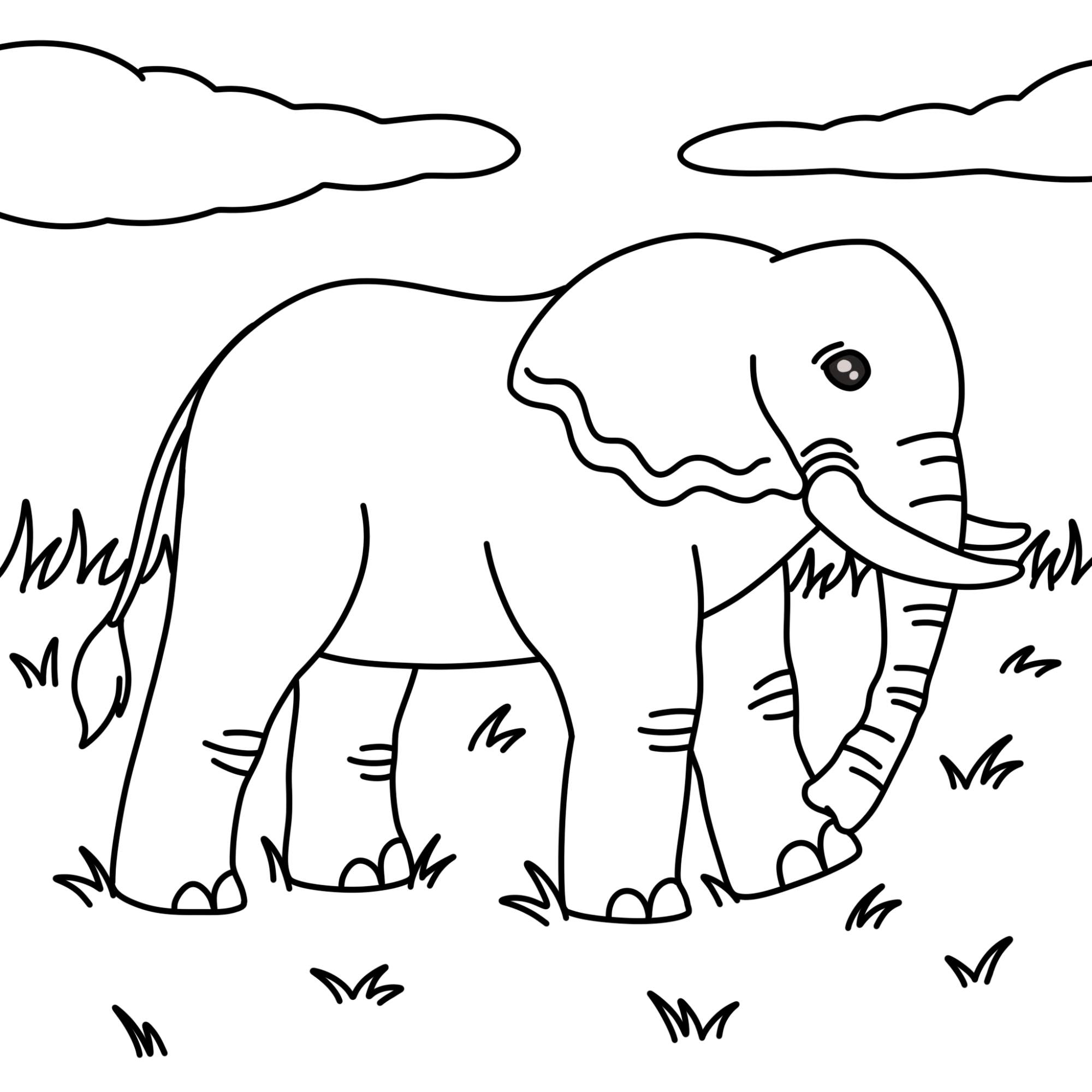 How to Draw an Elephant - Step-12