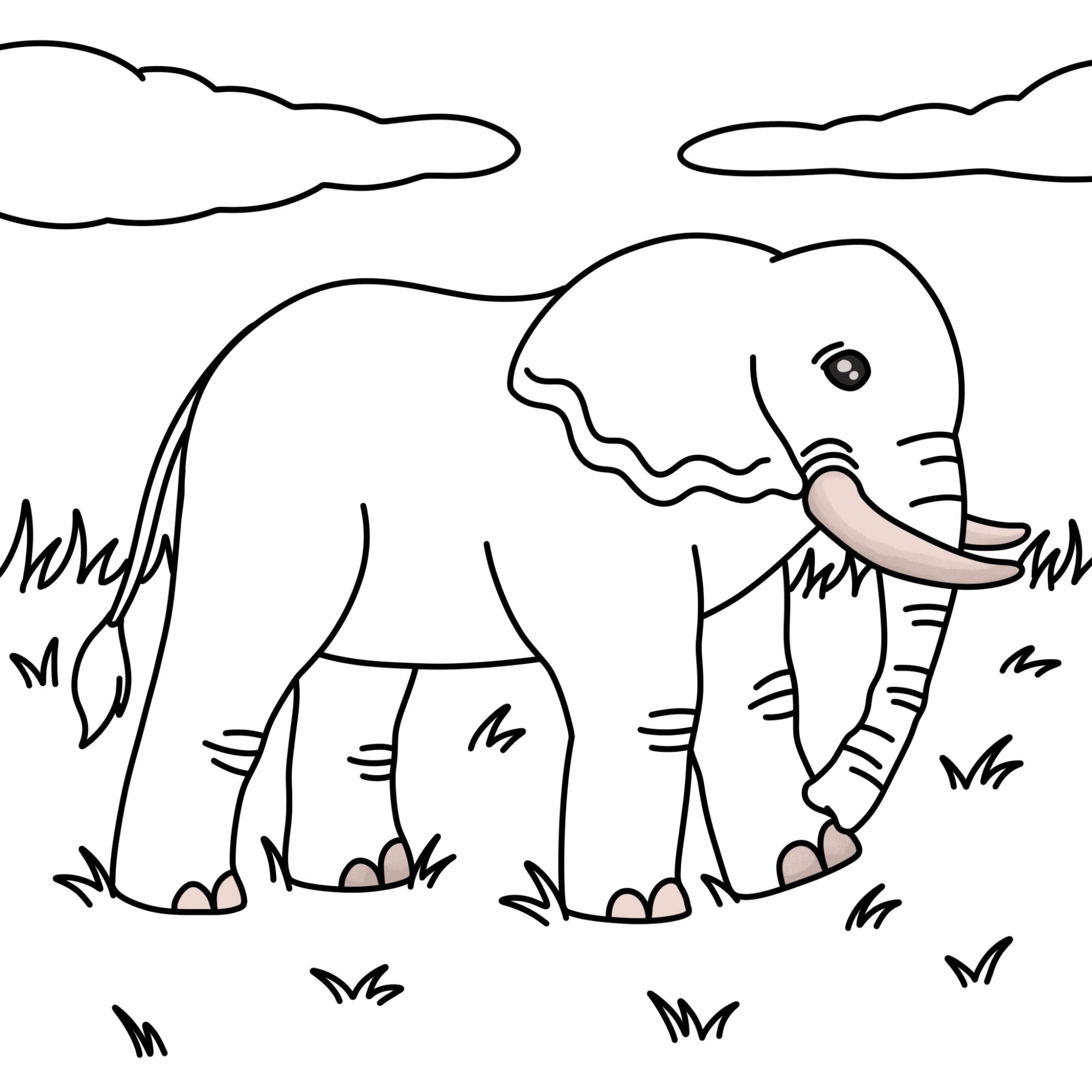 How to Draw an Elephant - Step-13