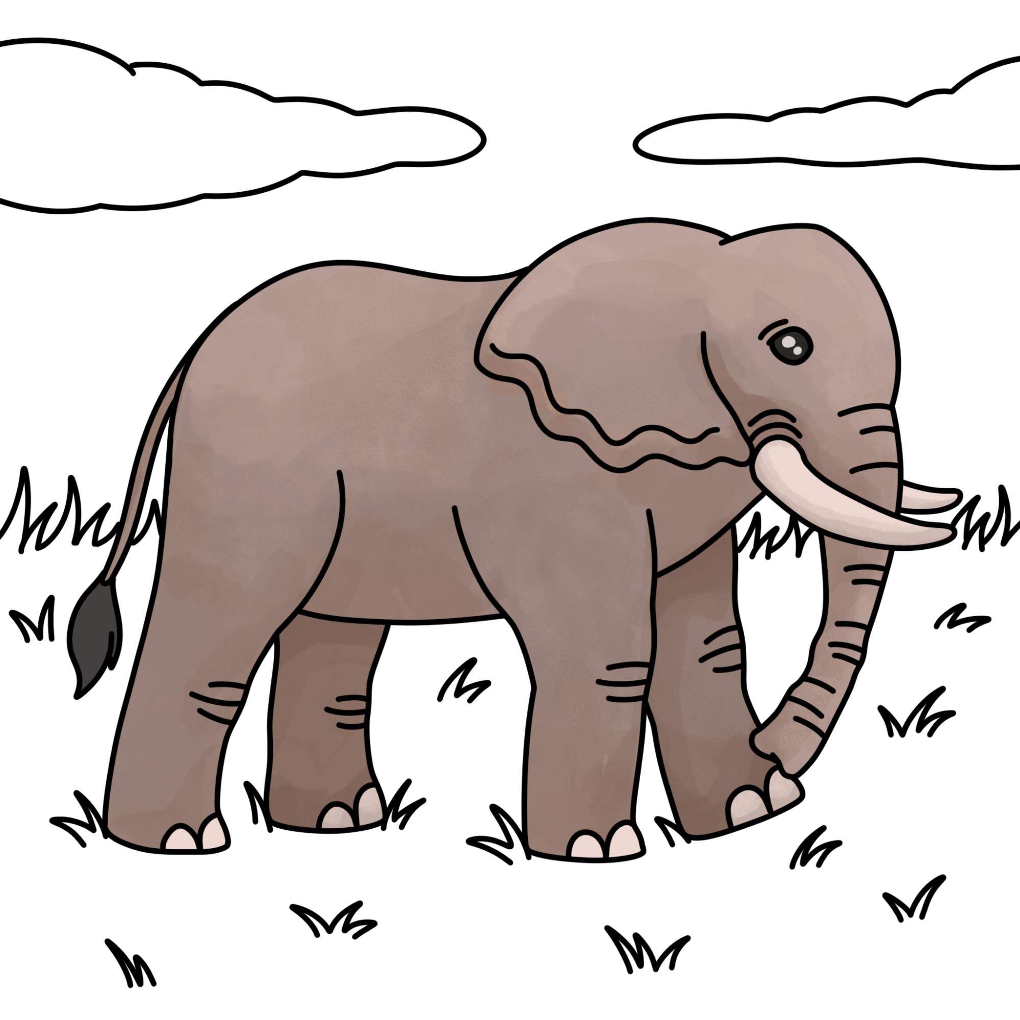 How to Draw an Elephant - Step-14