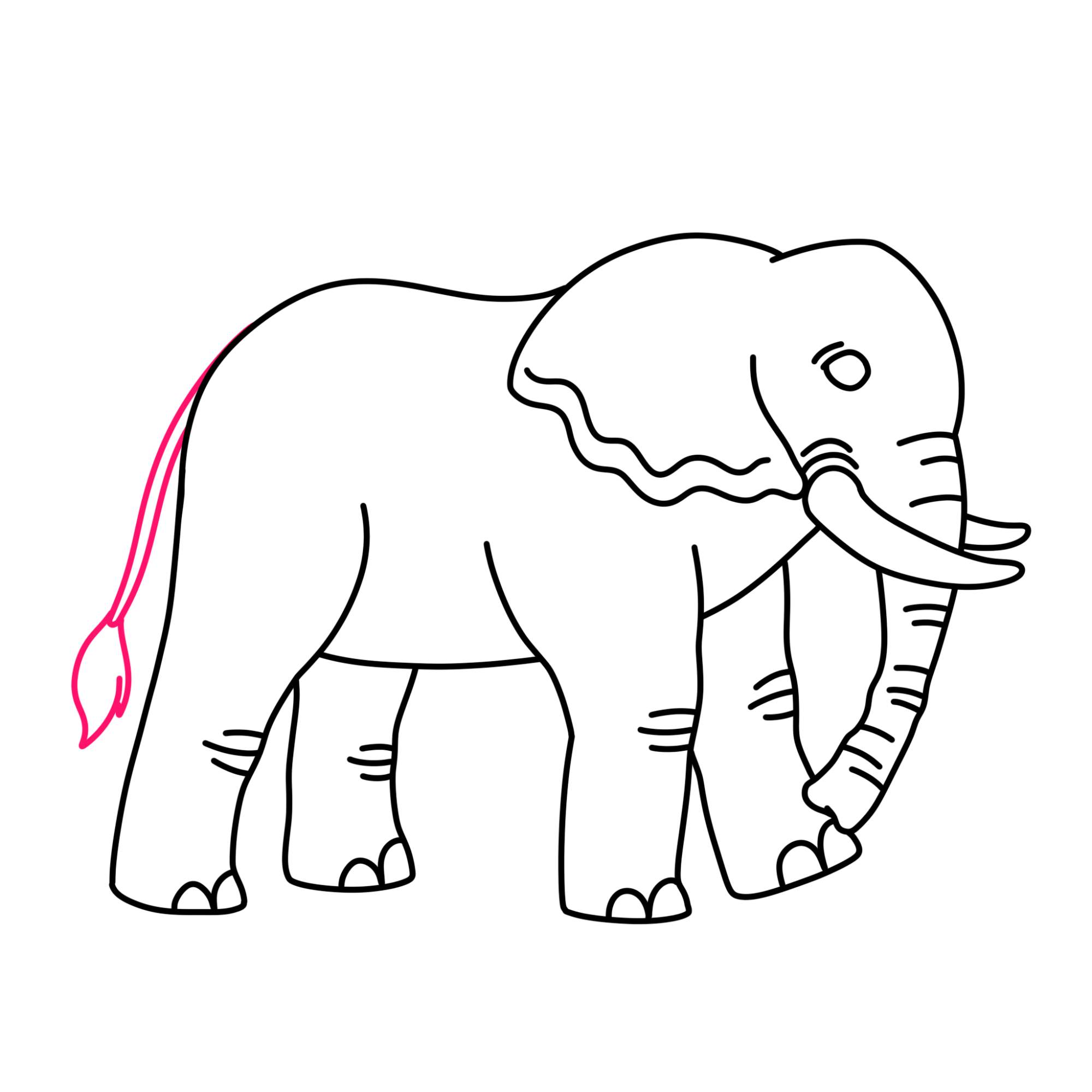 How to Draw an Elephant - Step-9