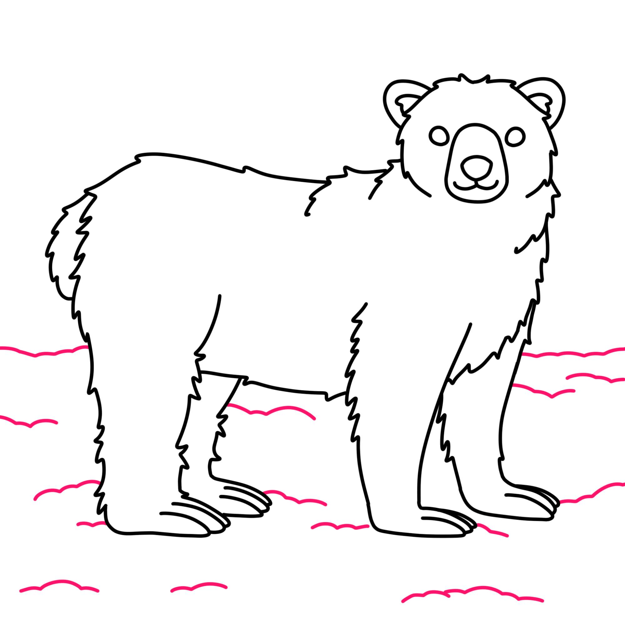 How to Draw Polar Bear - Step-10