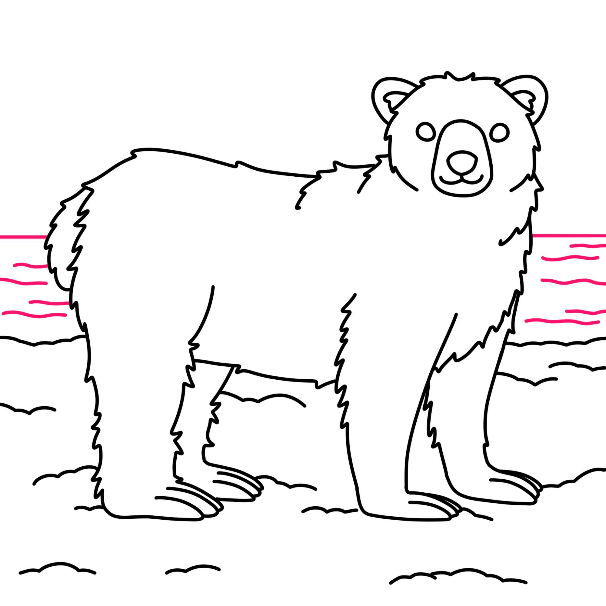 How to Draw Polar Bear - Step-11