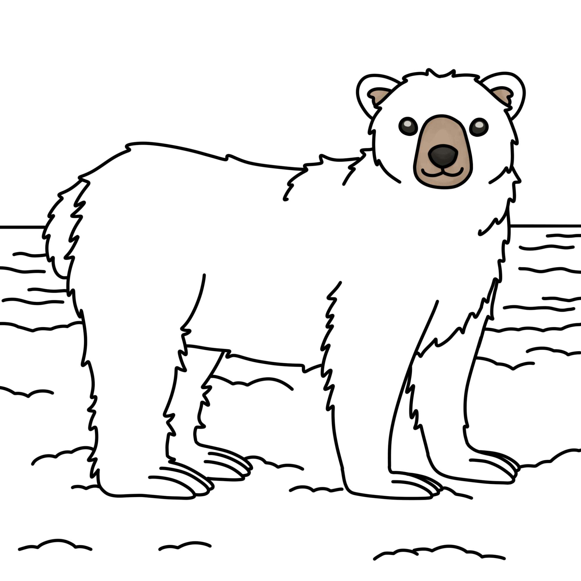 How to Draw Polar Bear - Step-12