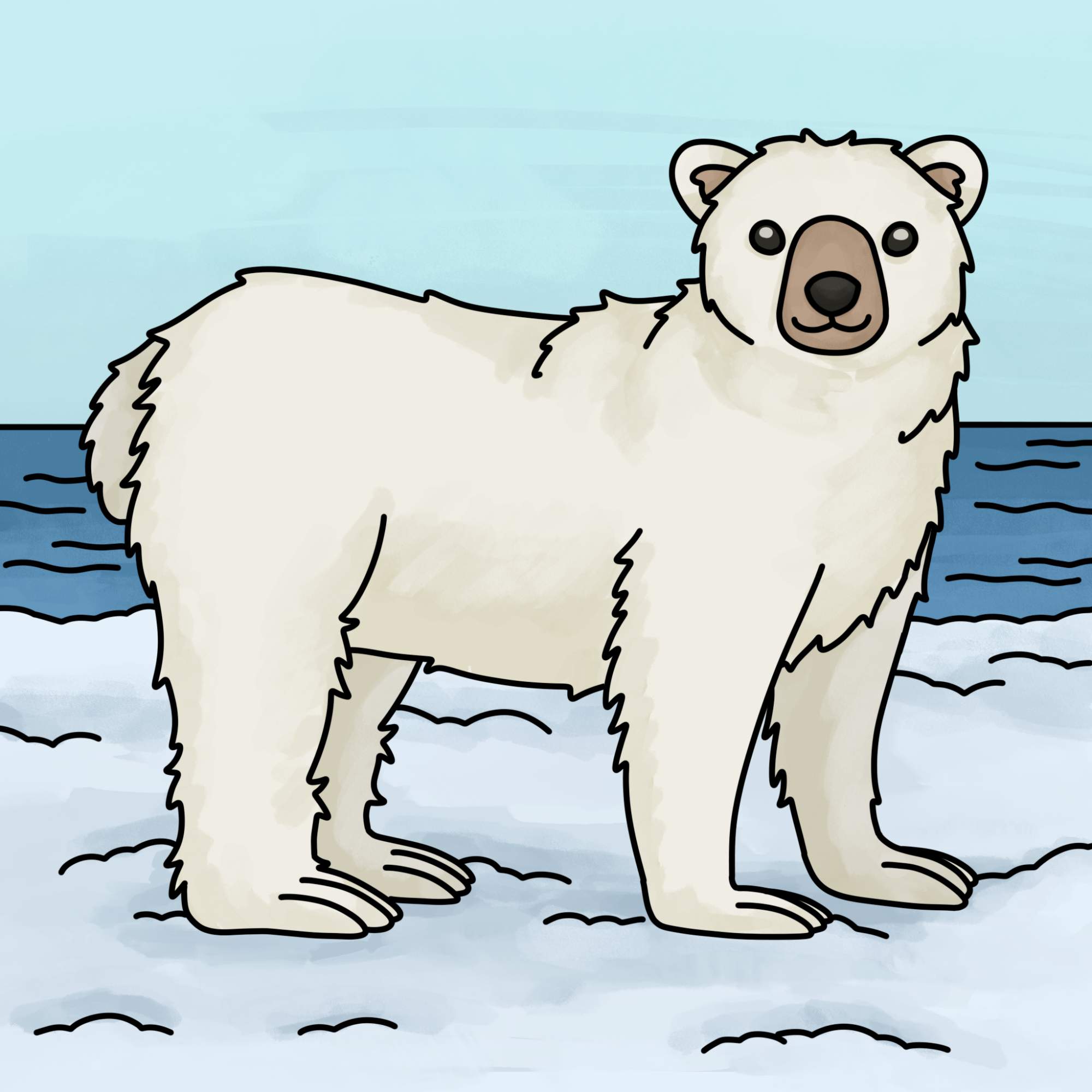 How to Draw Polar Bear - Step-15