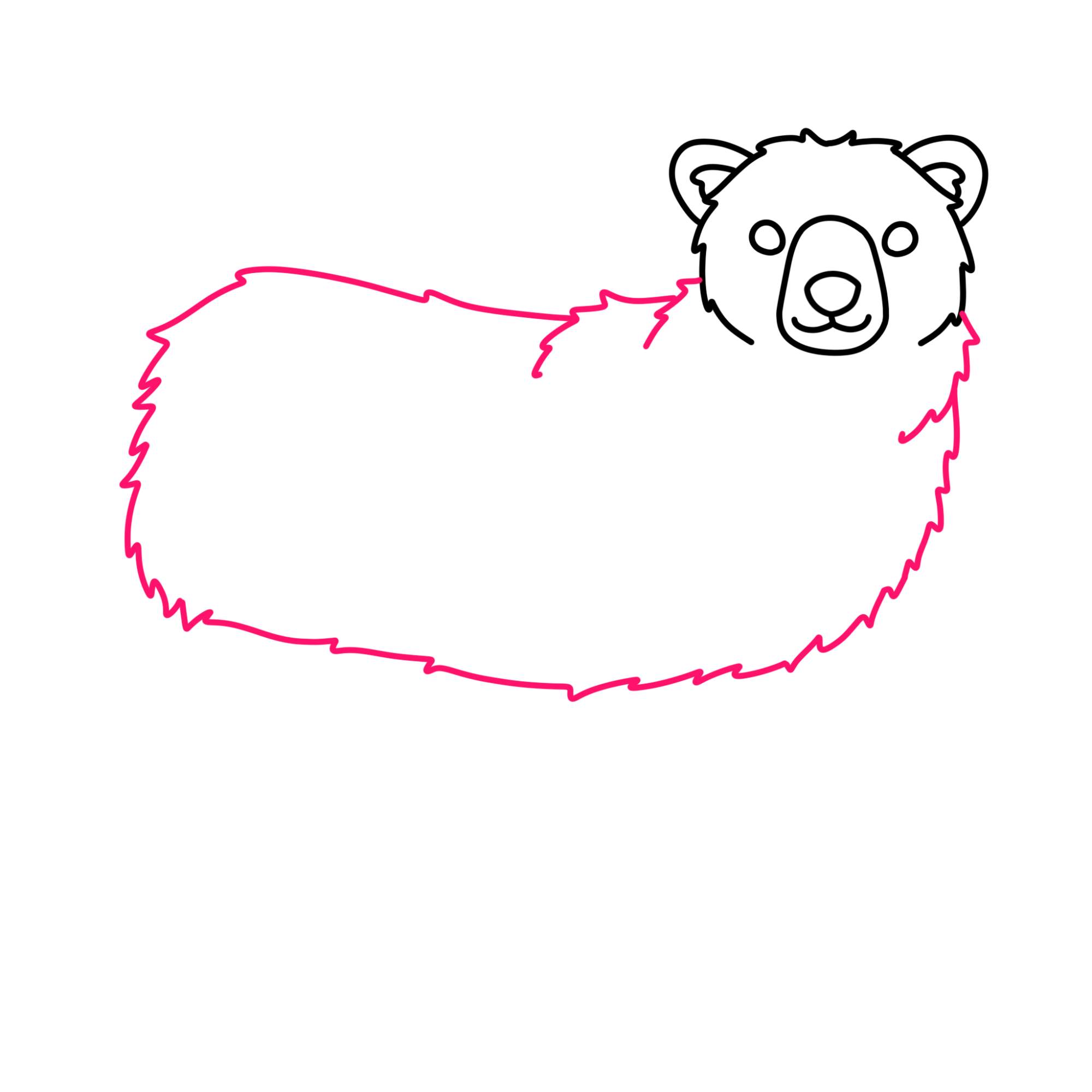 How to Draw Polar Bear - Step-7