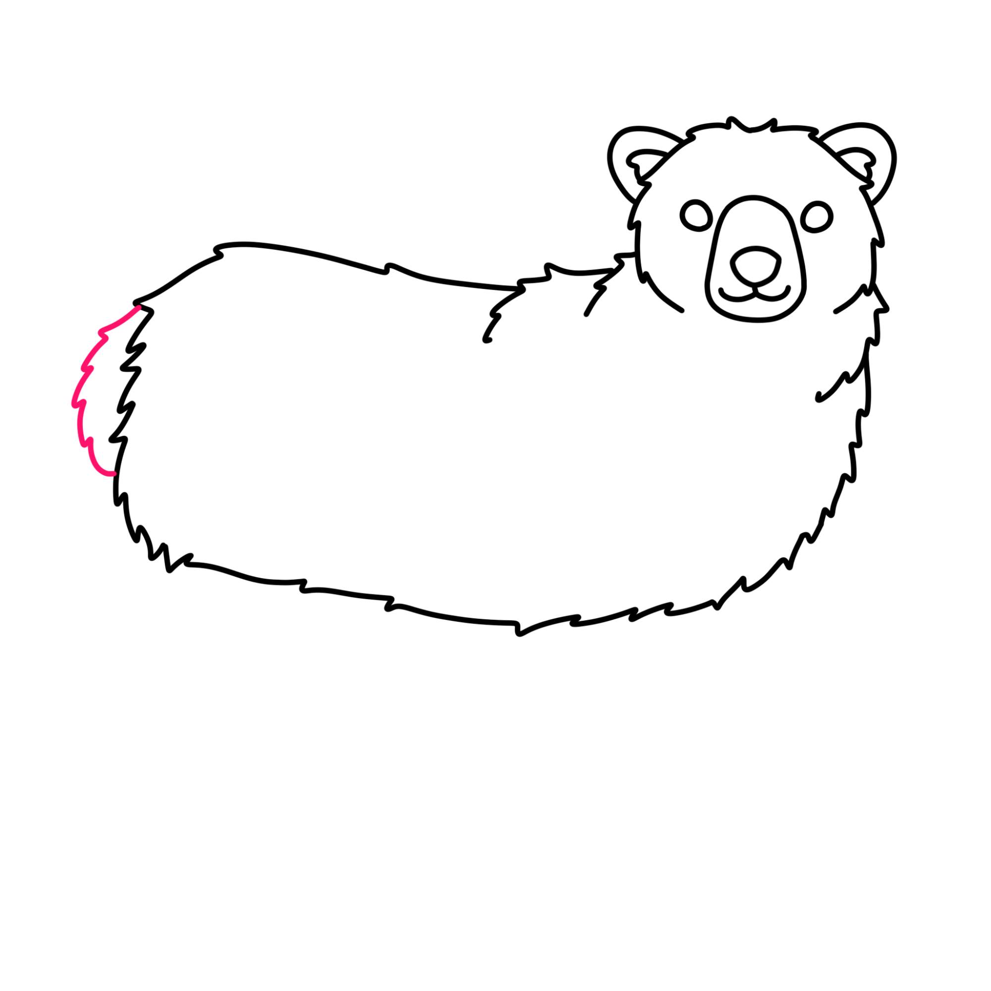 How to Draw Polar Bear - Step-8