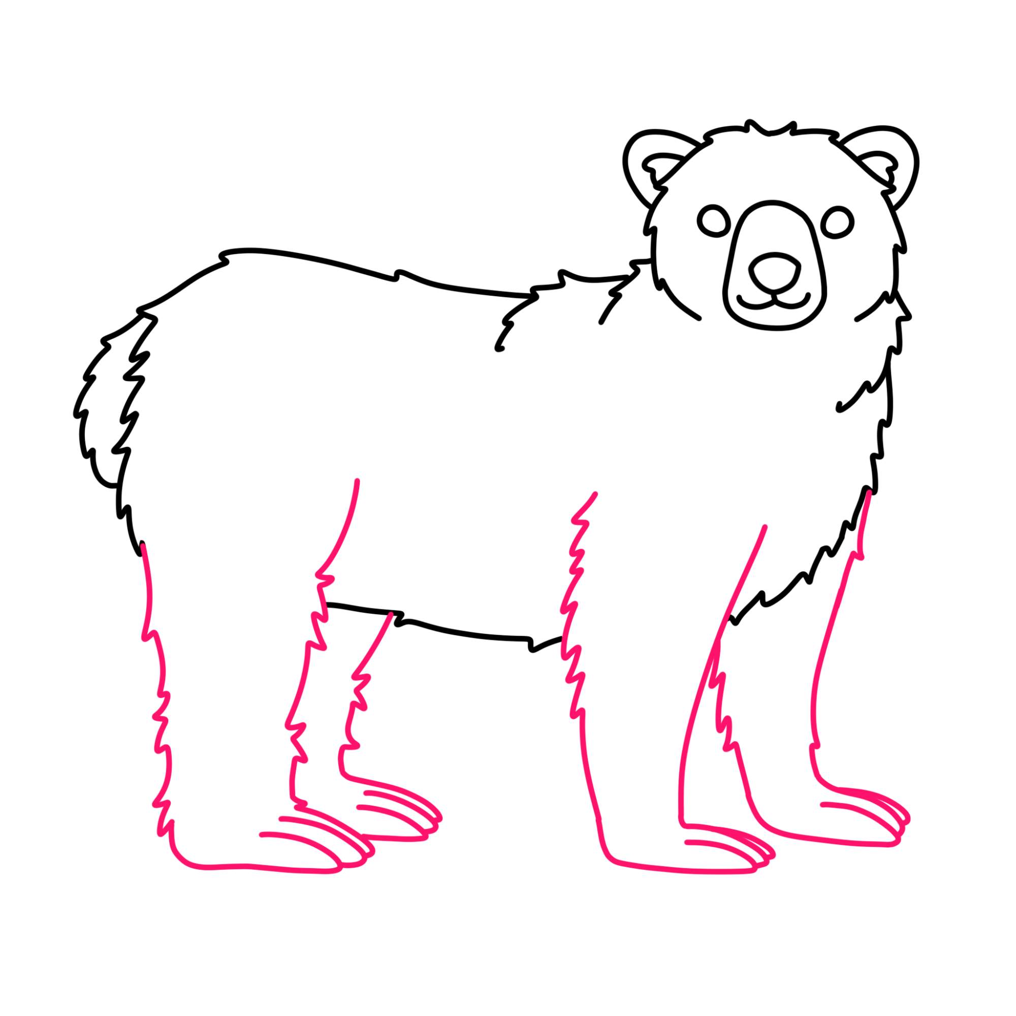 How to Draw Polar Bear - Step-9