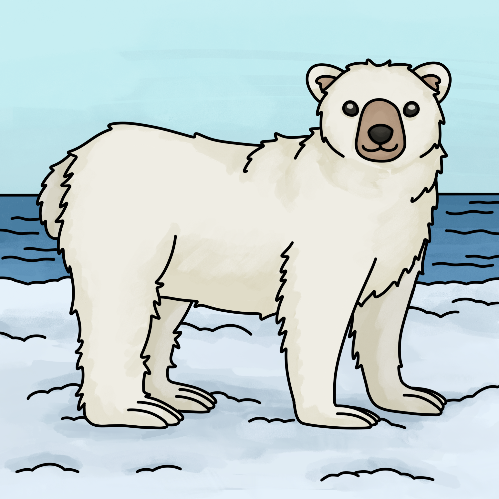 How to Draw Polar Bear