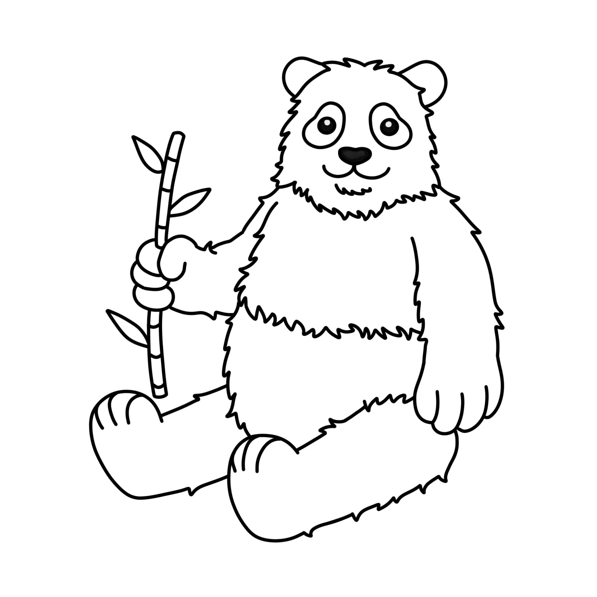 Panda Drawing for Kids - Step-12