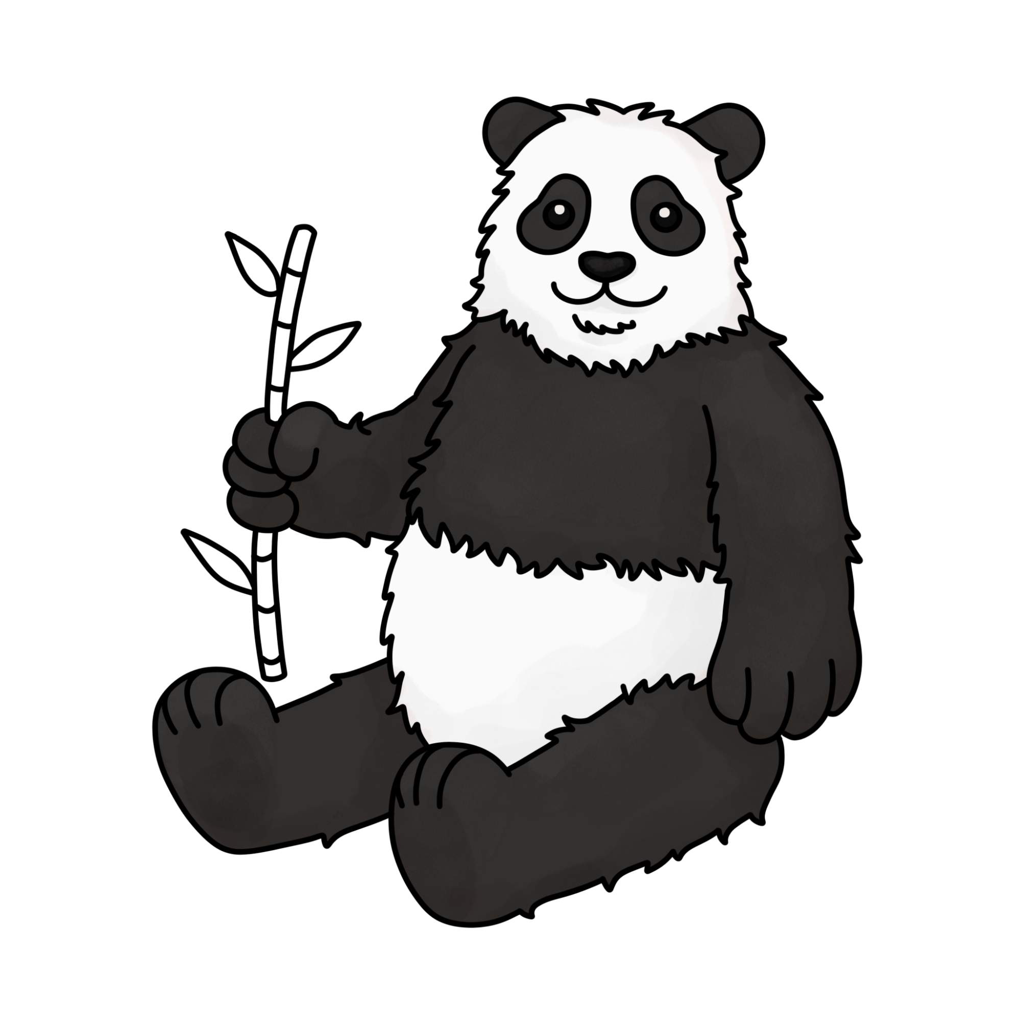 Panda Drawing for Kids - Step-13