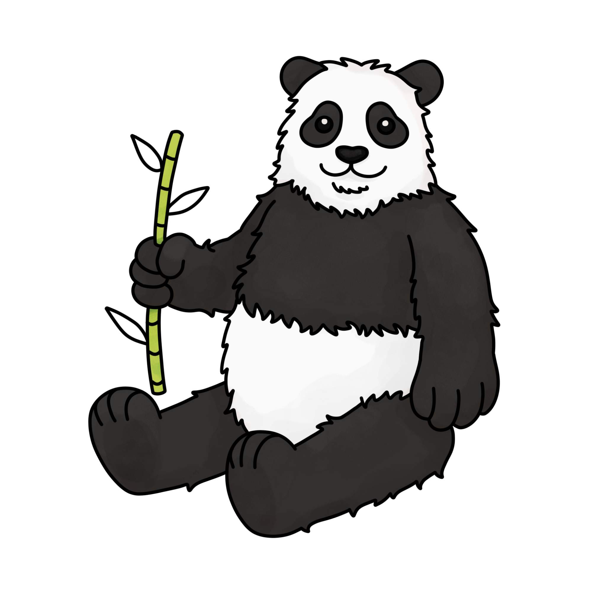 Panda Drawing for Kids - Step-14