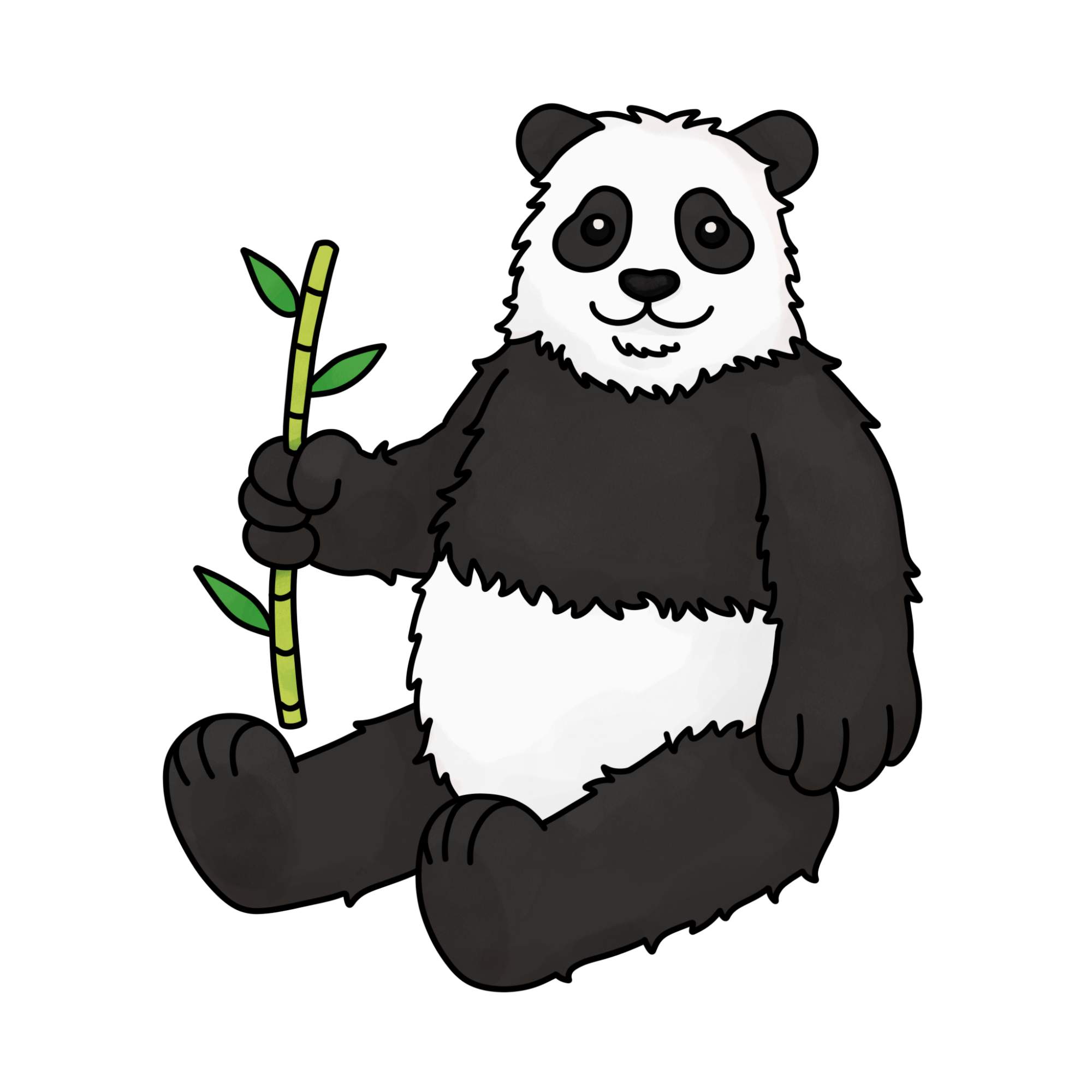 Panda Drawing for Kids - Step-15