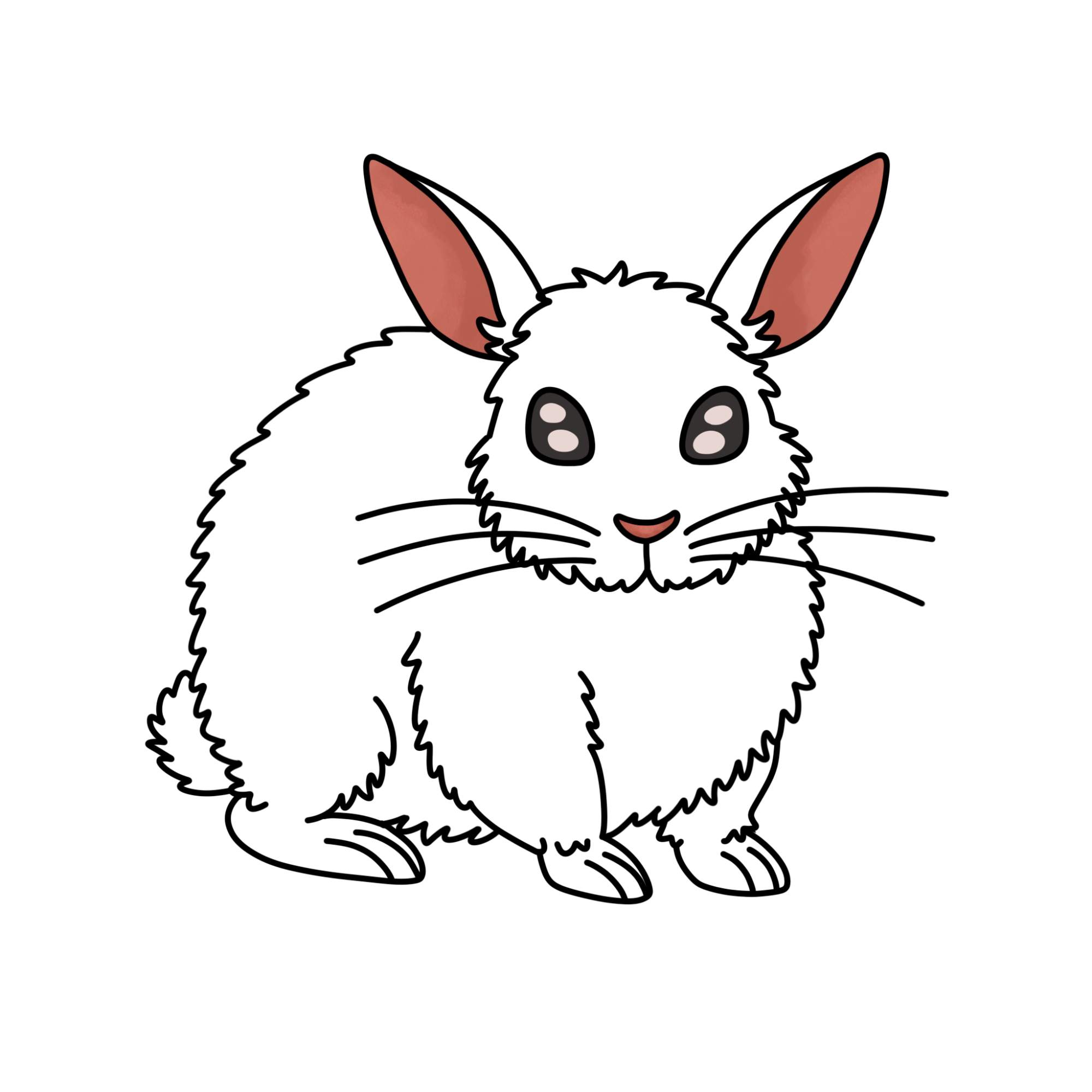 Rabbit Drawing for Kids - Step-10