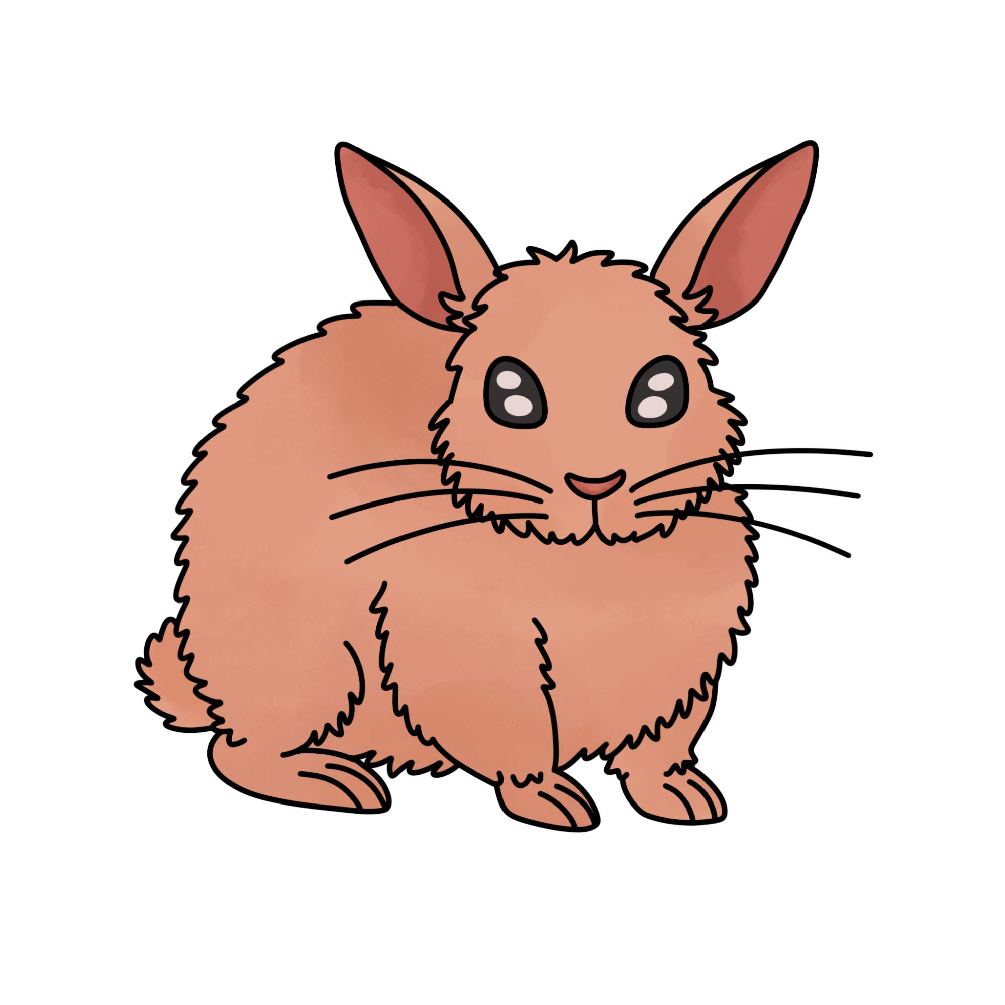 Rabbit Drawing for Kids - Step-11