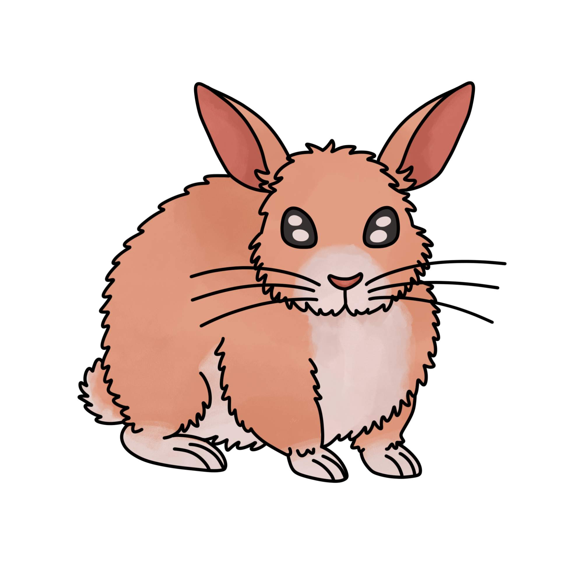 Rabbit Drawing for Kids - Step-12