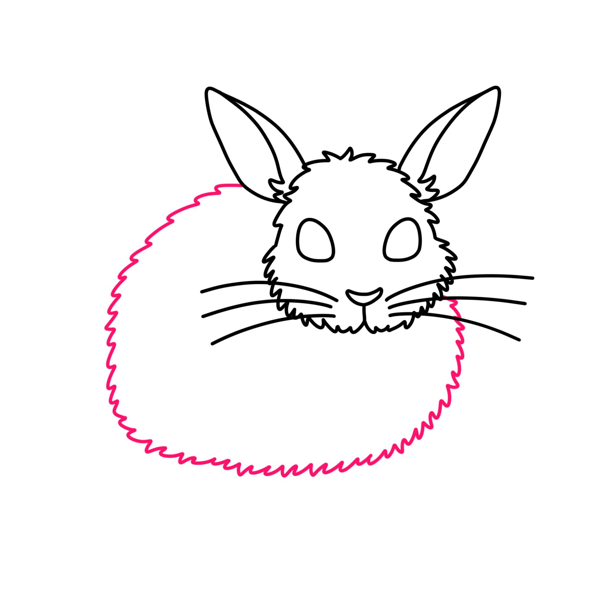 Rabbit Drawing for Kids - Step-5