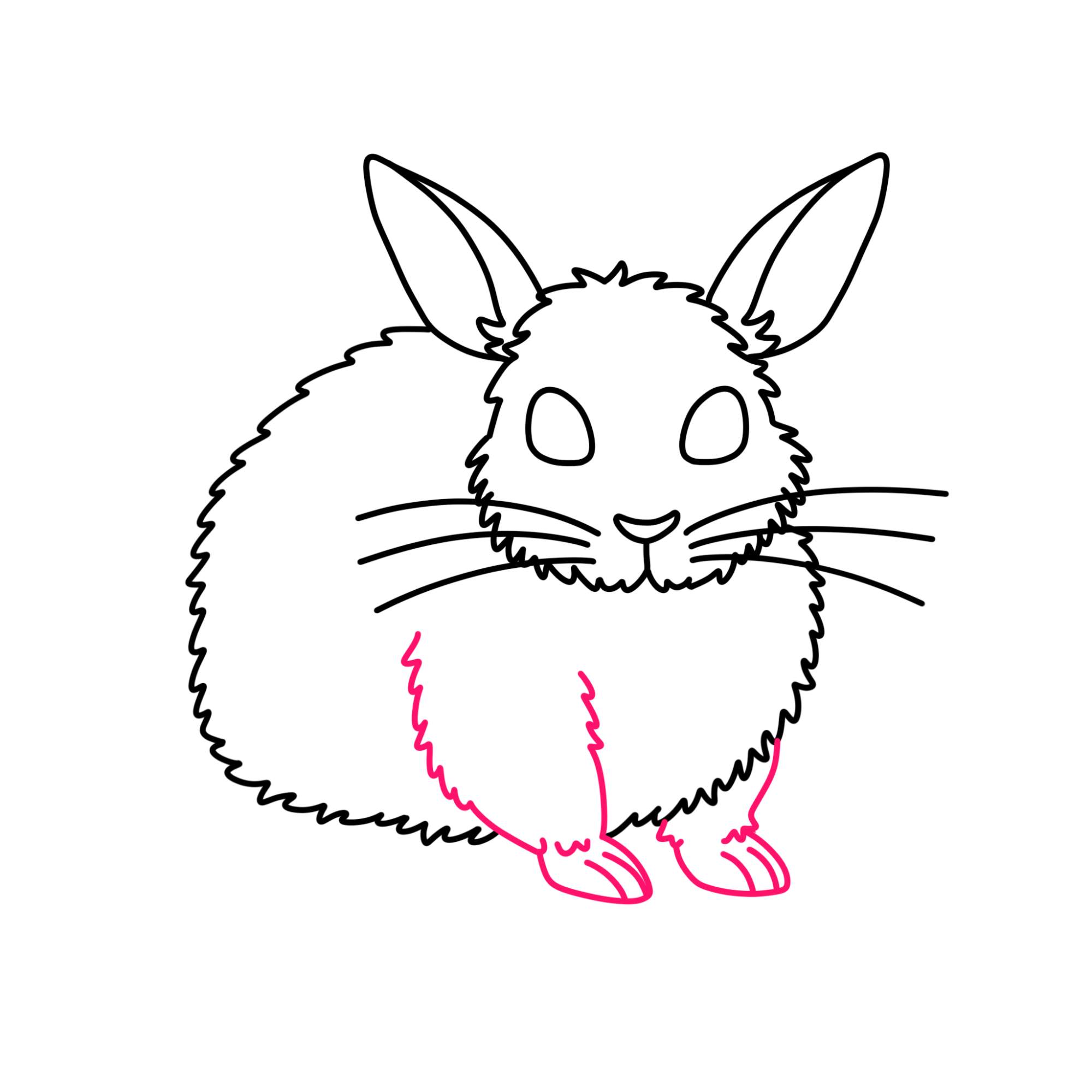 Rabbit Drawing for Kids - Step-6