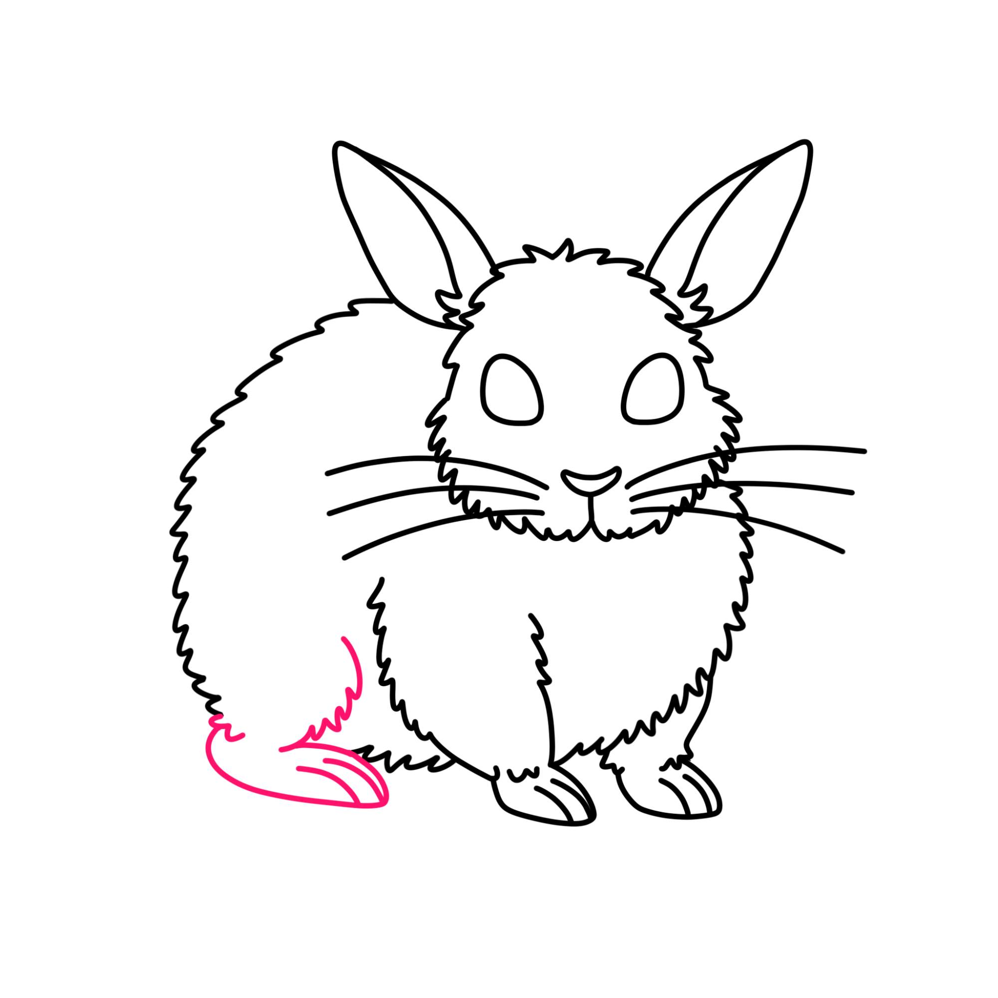 Rabbit Drawing for Kids - Step-7