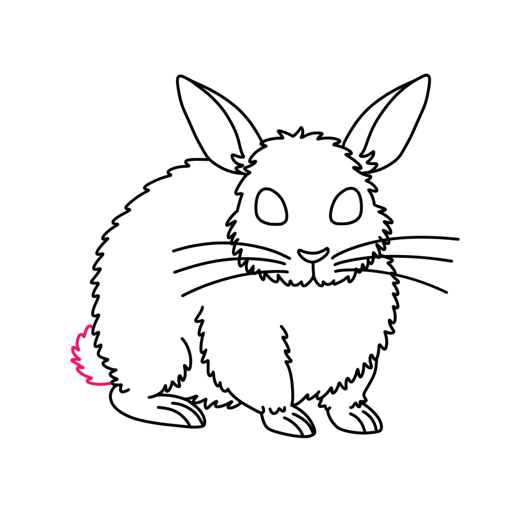 Rabbit Drawing for Kids - Step-8