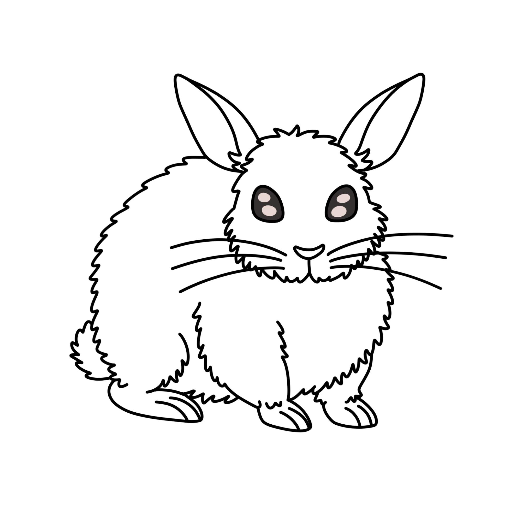 Rabbit Drawing for Kids - Step-9