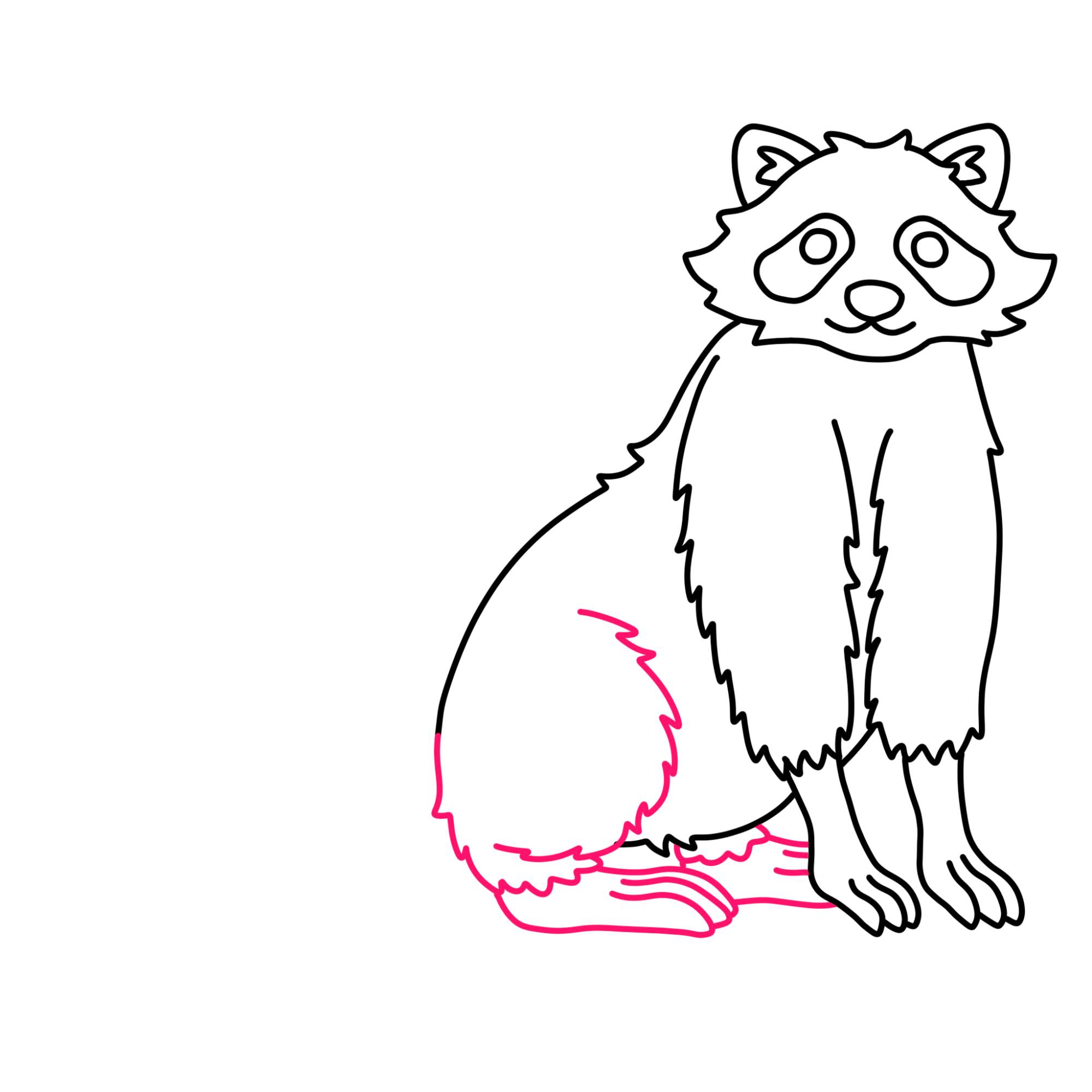 Raccoon Drawing - Step-10