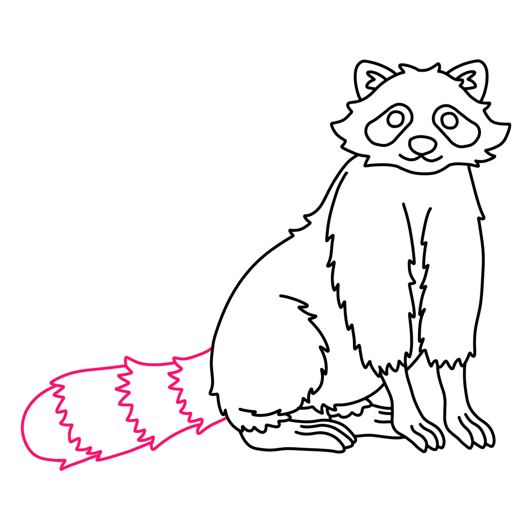 Raccoon Drawing - Step-11