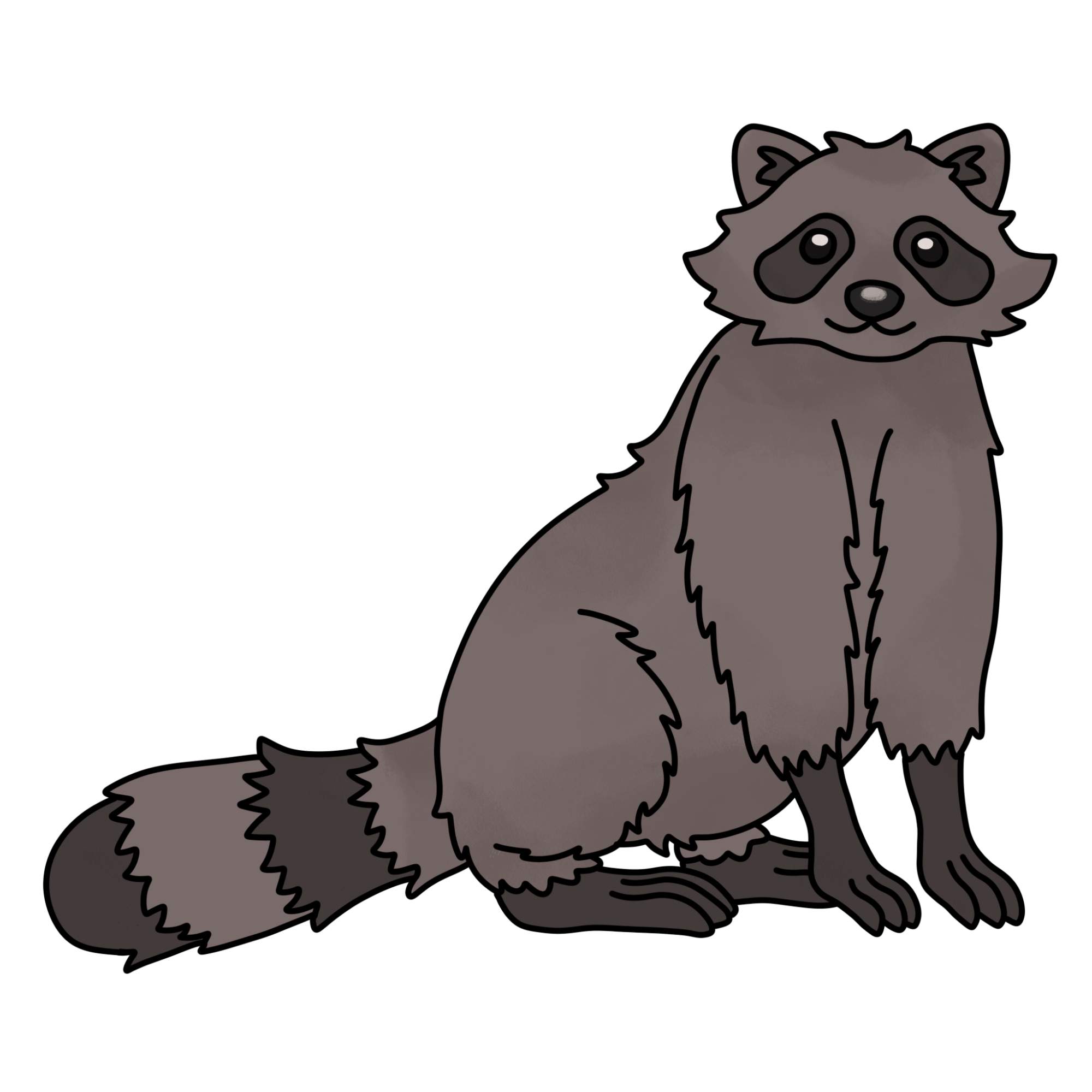 Raccoon Drawing - Step-14