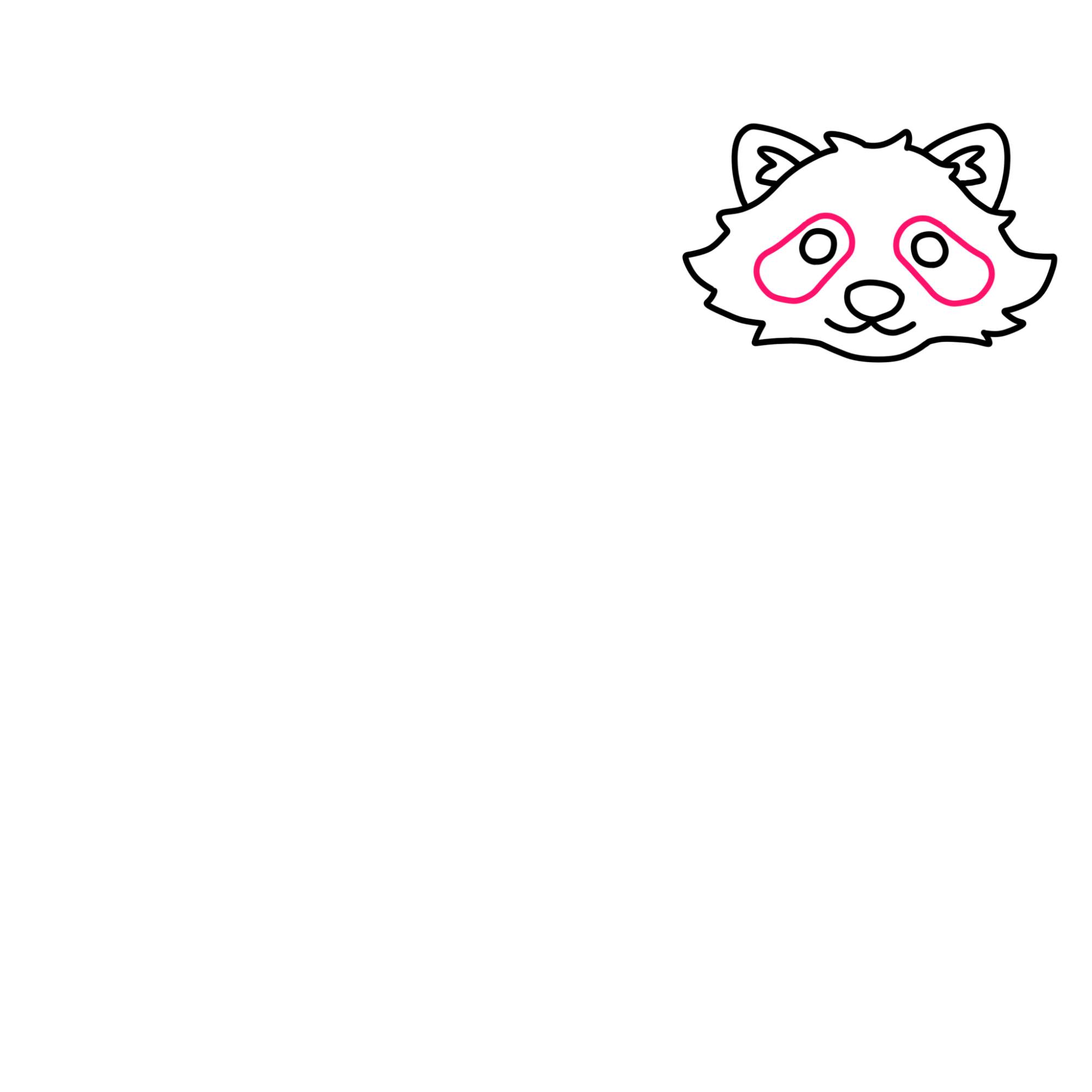 Raccoon Drawing - Step-6