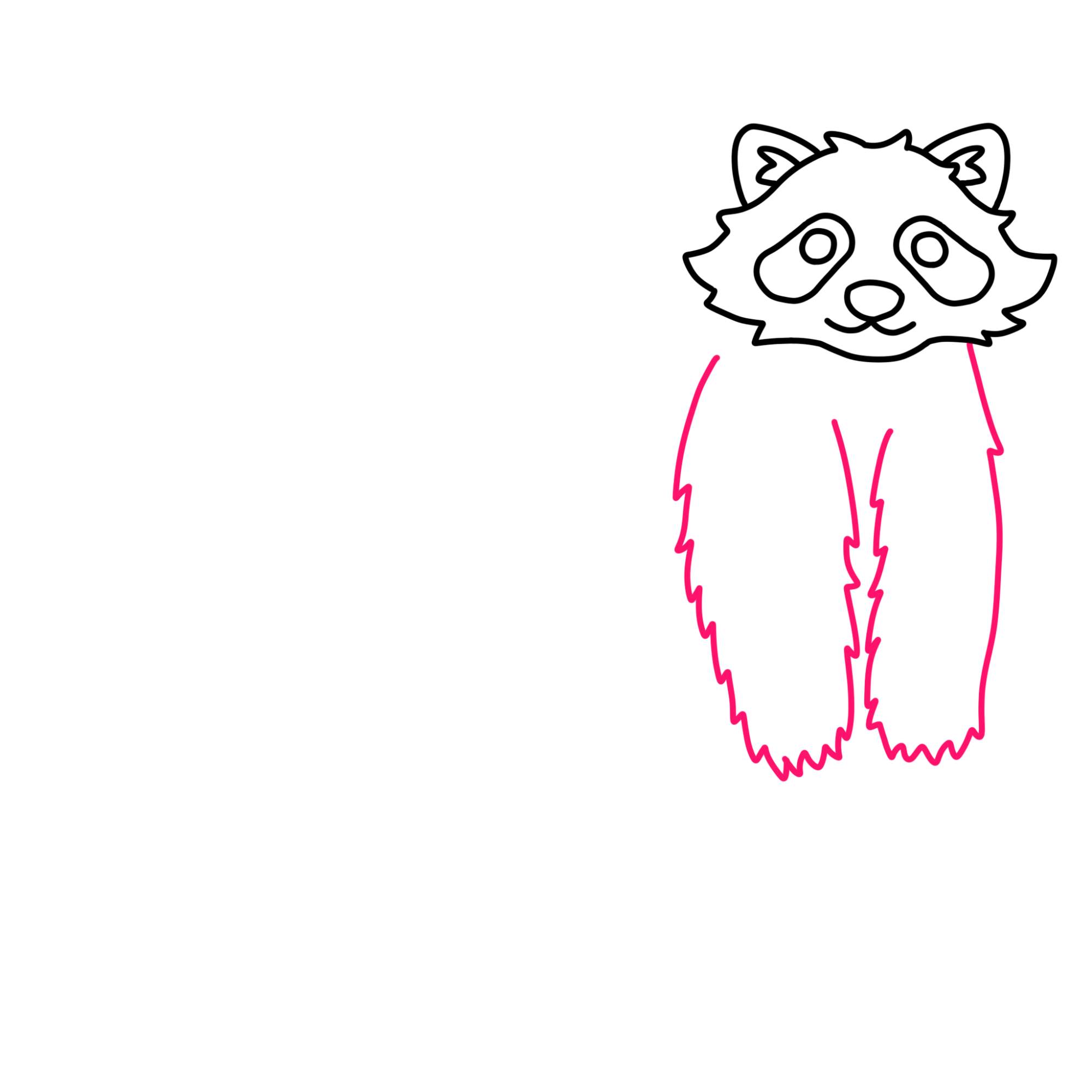 Raccoon Drawing - Step-7